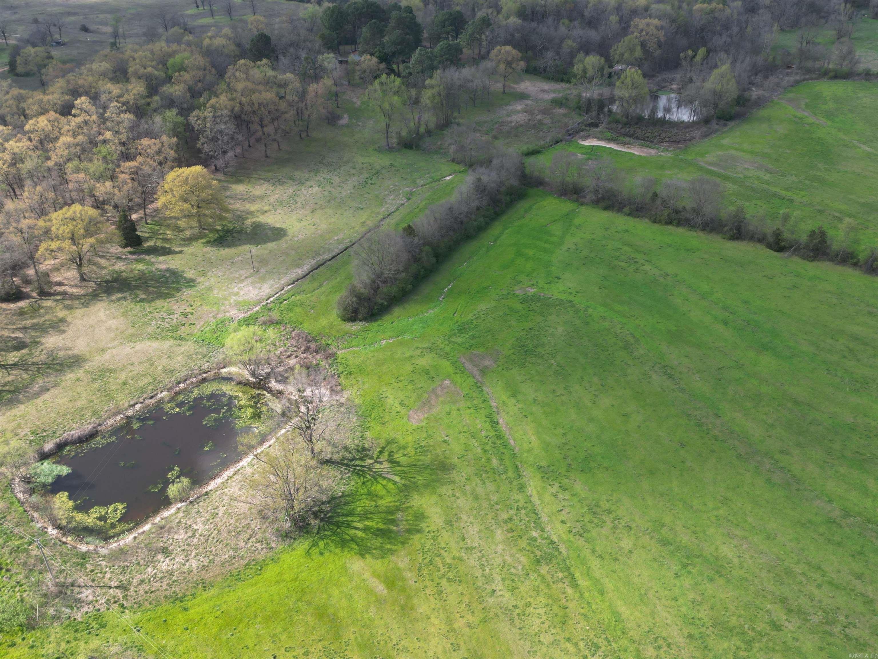 Tbd Polk Road 199 Property Photo 6