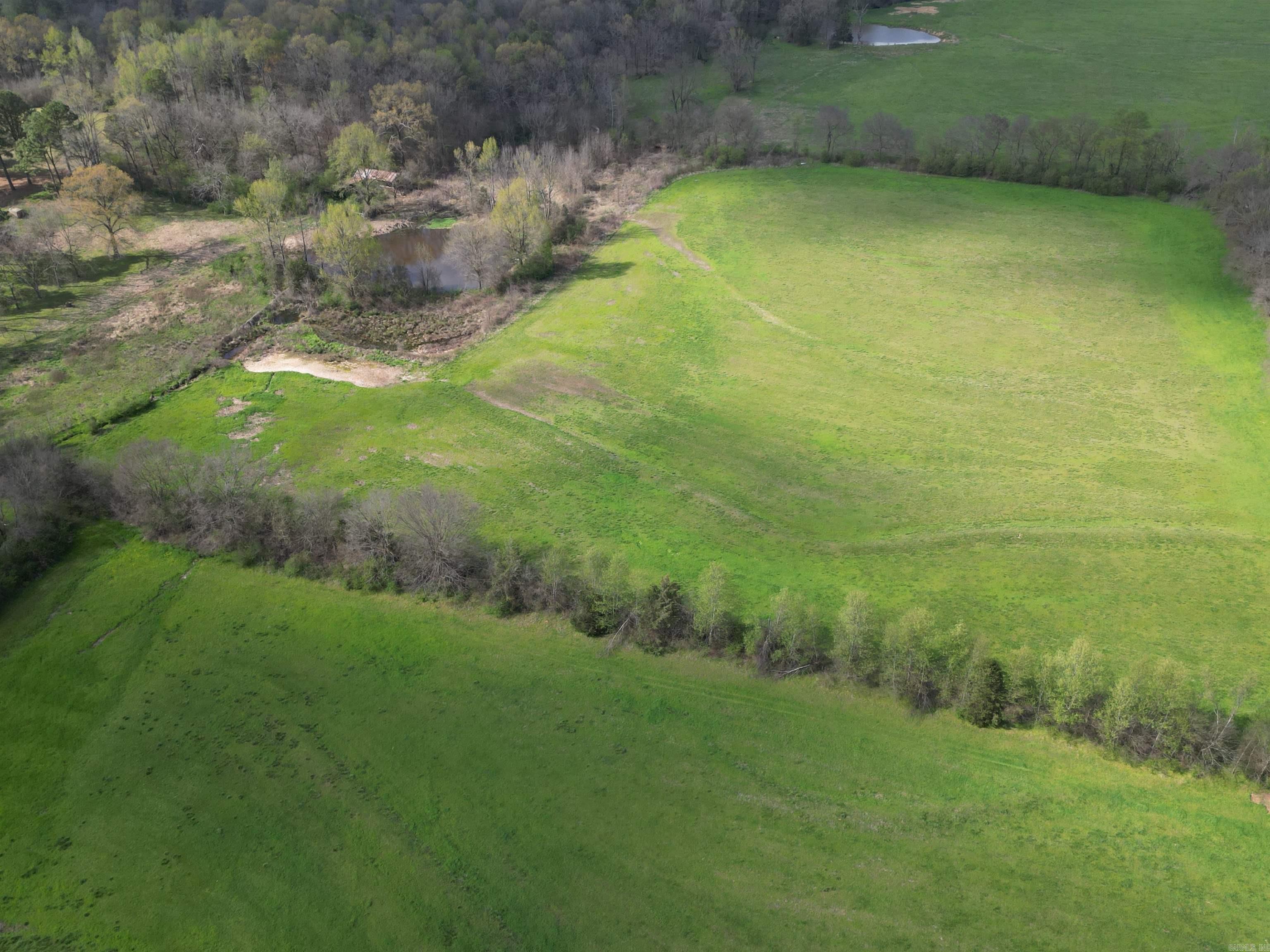 Tbd Polk Road 199 Property Photo 8