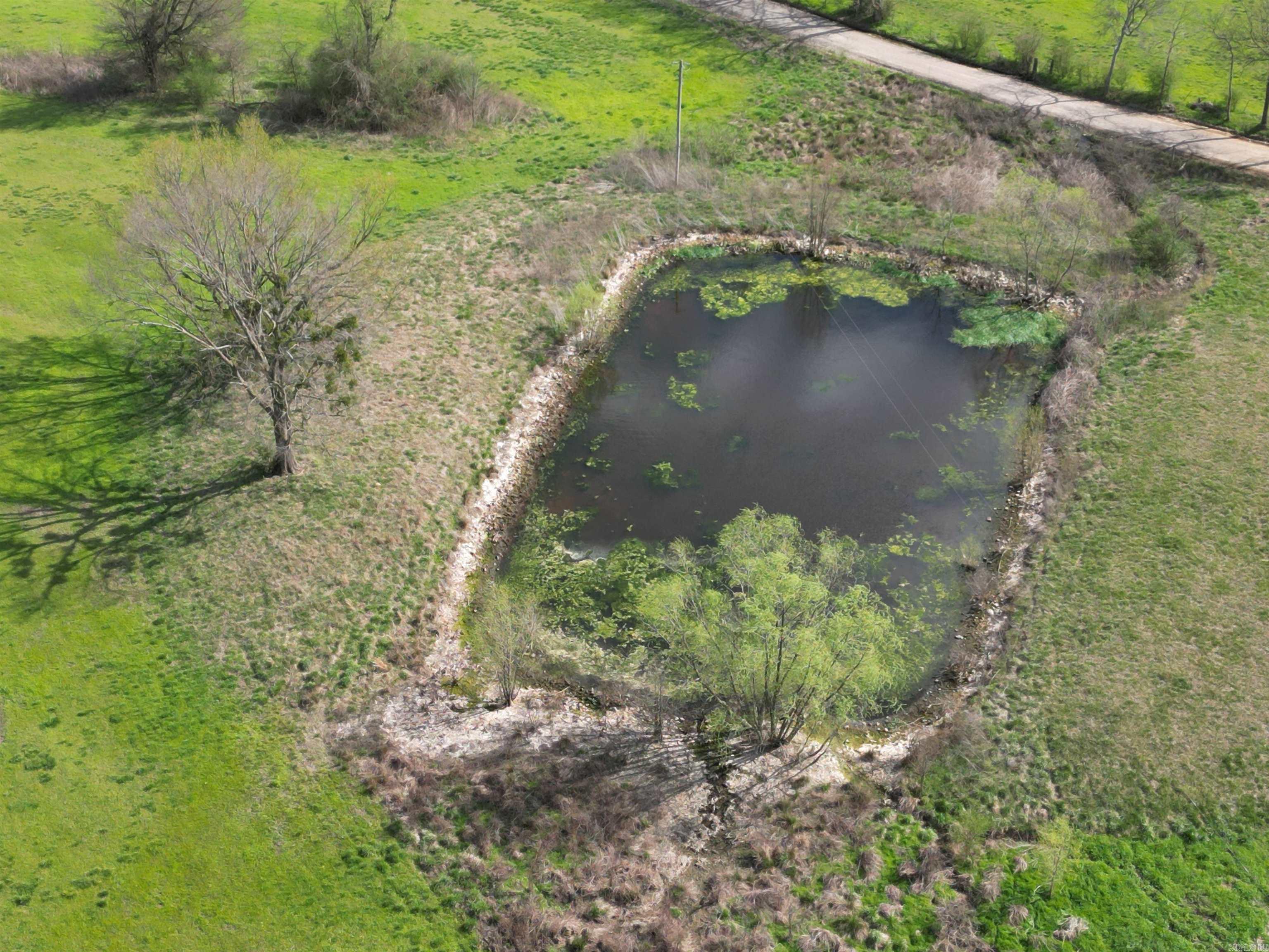 Tbd Polk Road 199 Property Photo 19