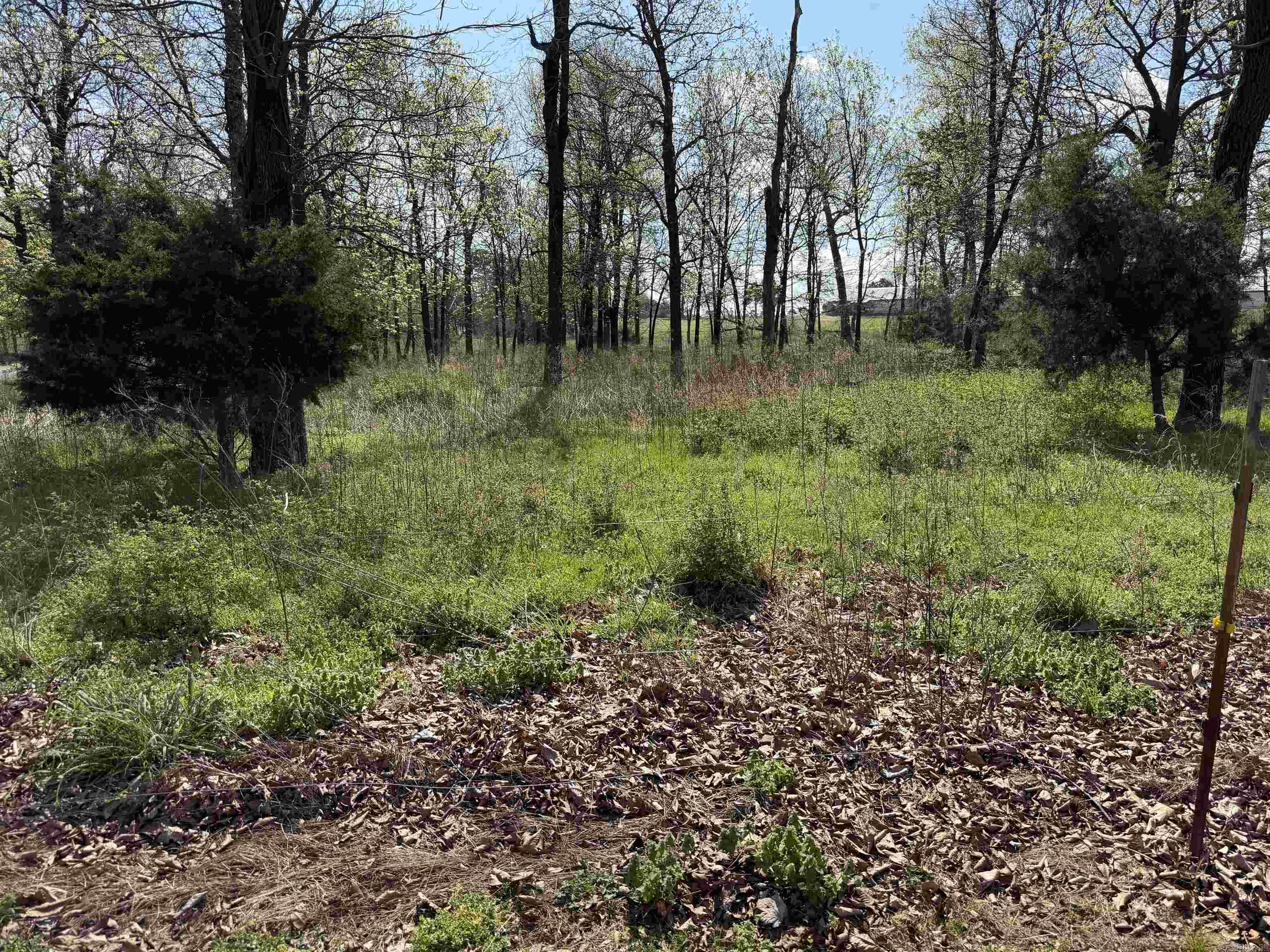 369 County Line Road Property Photo 6