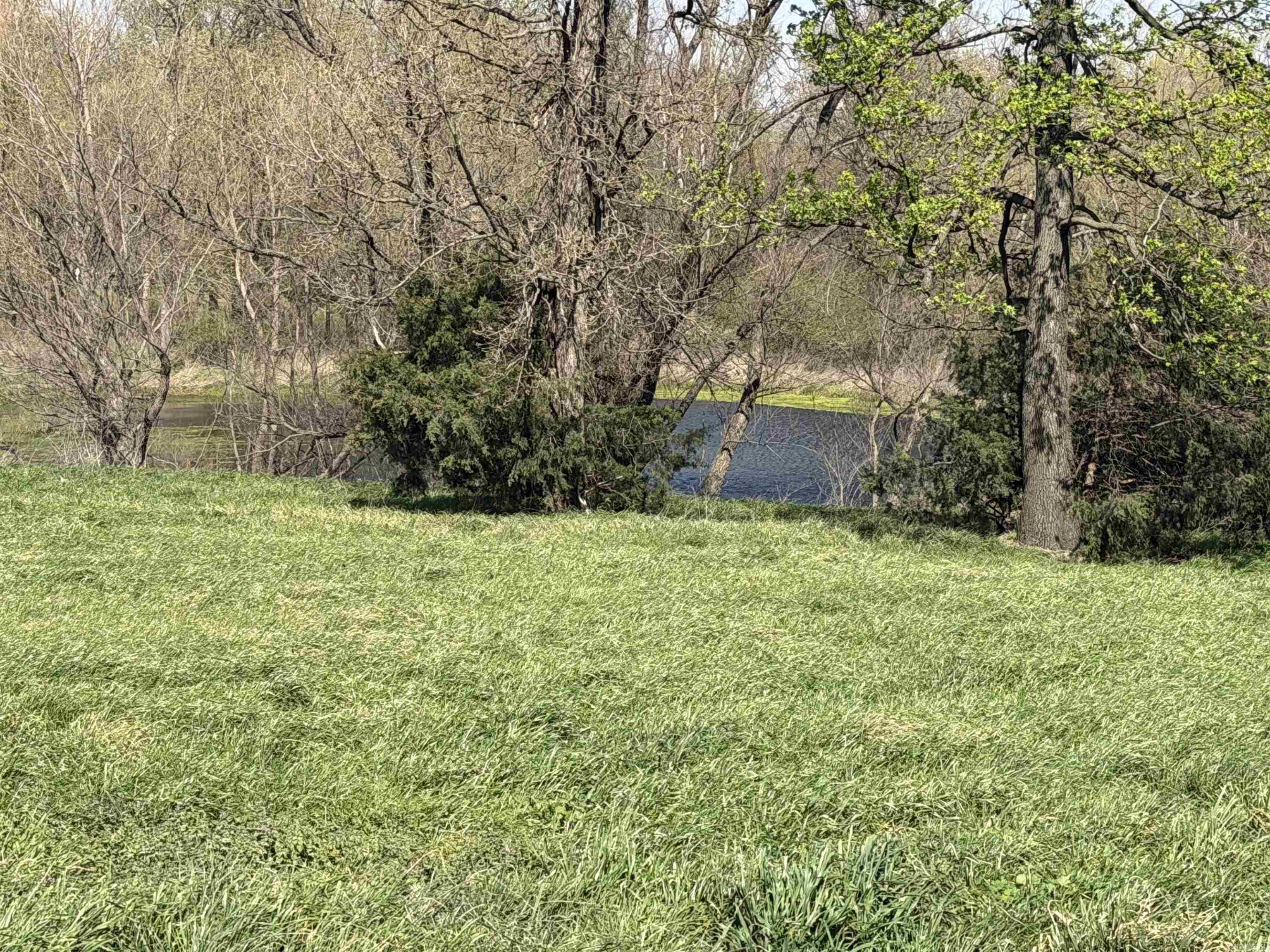 369 County Line Road Property Photo 15