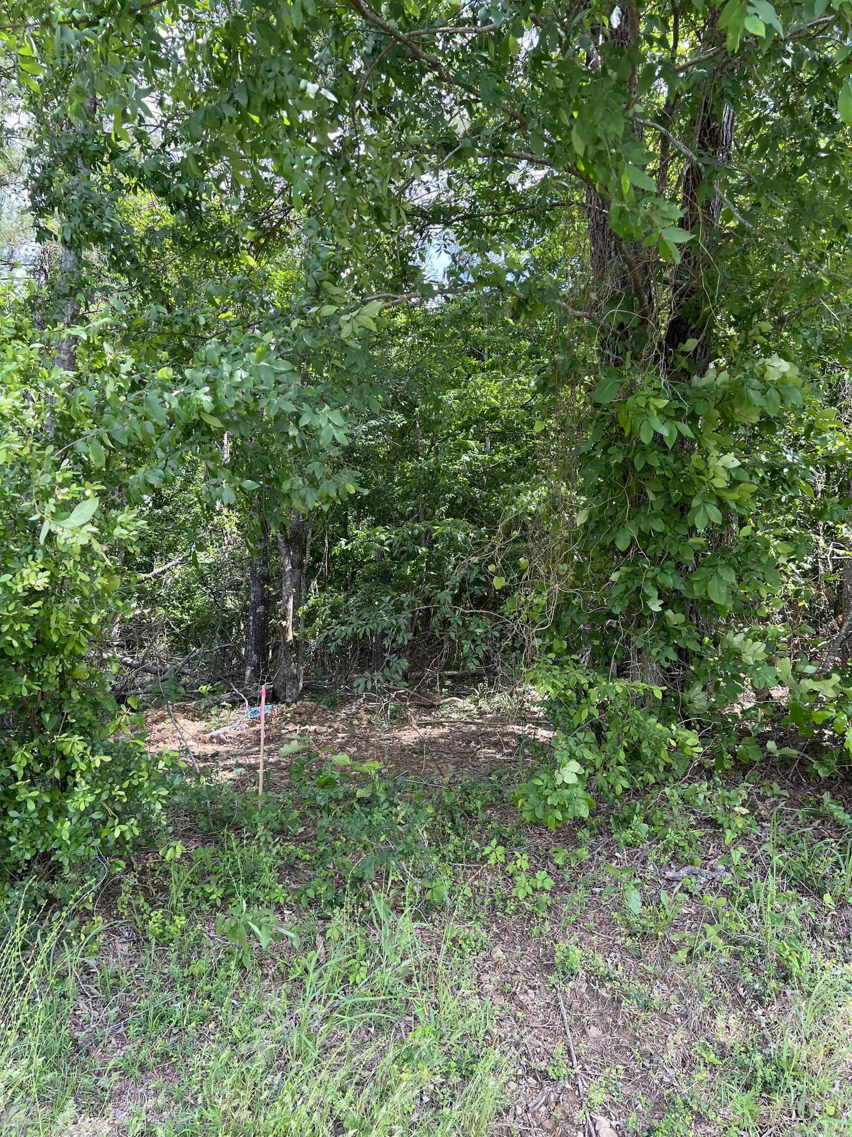 Xx Tract 11 Castle Property Photo 3