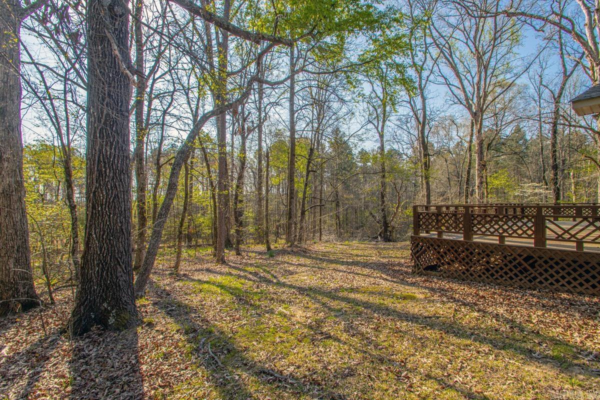 2726 Pleasant Run Road Property Photo 6