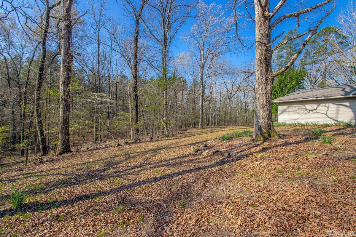 2726 Pleasant Run Road Property Photo 8