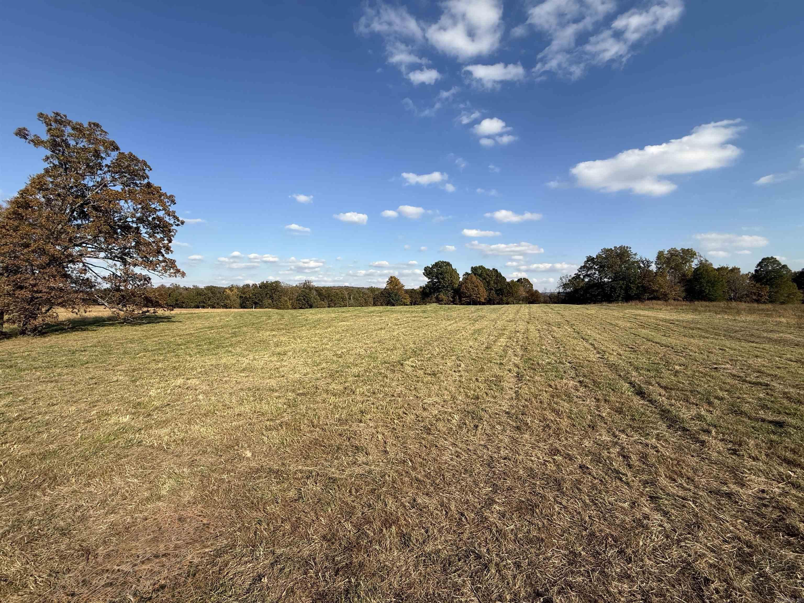 91 Valley Ranch Property Photo 7