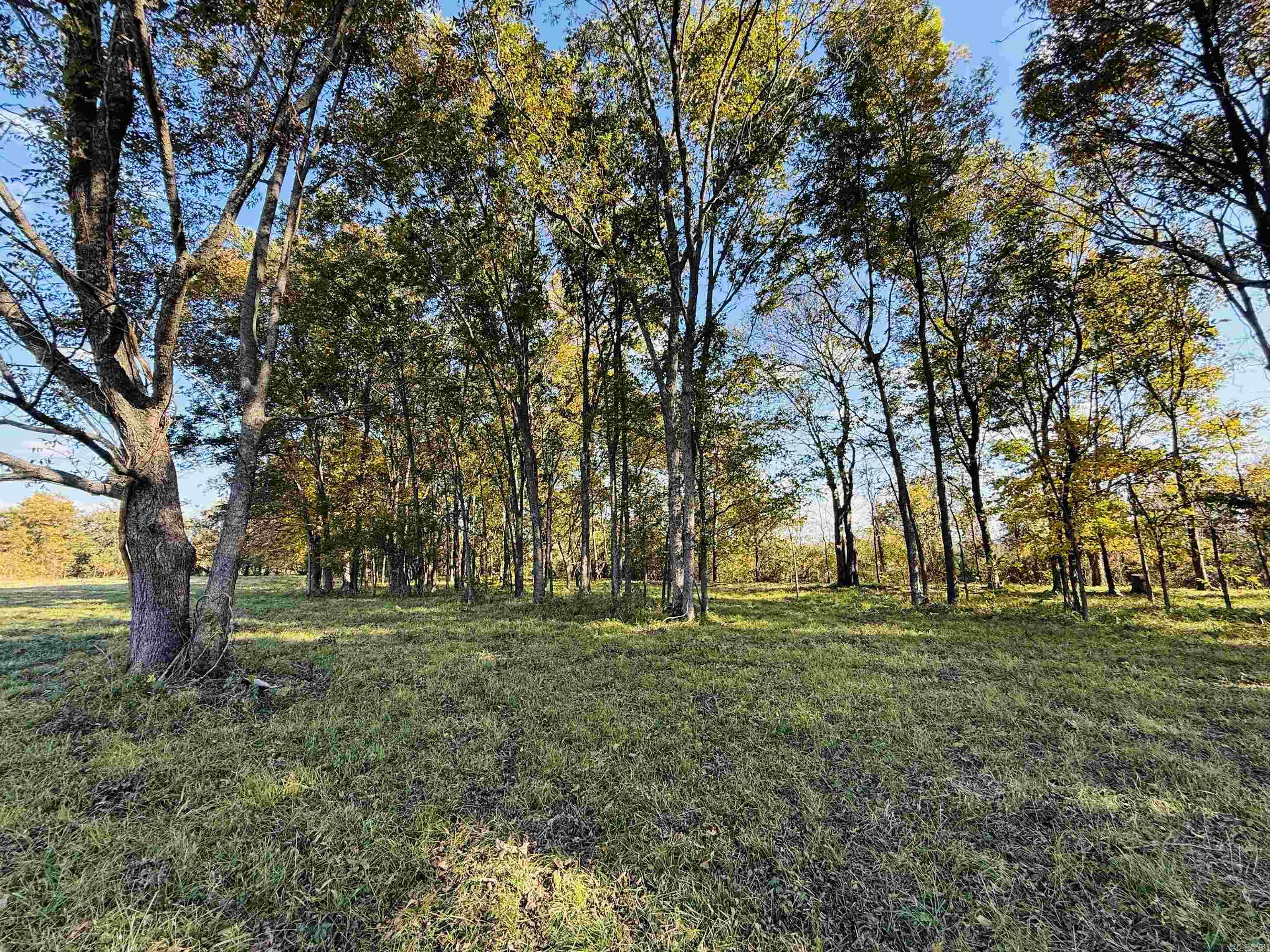 91 Valley Ranch Property Photo 16