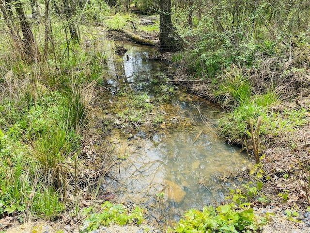 706 Old Waters Highway Property Photo 9