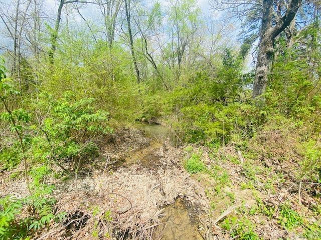 706 Old Waters Highway Property Photo 10