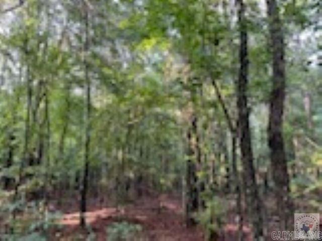244 Miller County 485 Property Photo 40