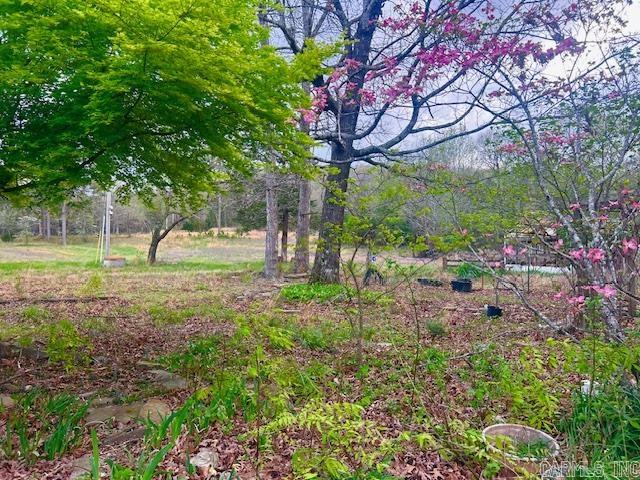 397 Fox Hollow Road Property Photo 16