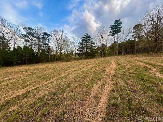 397 Fox Hollow Road Property Photo 28