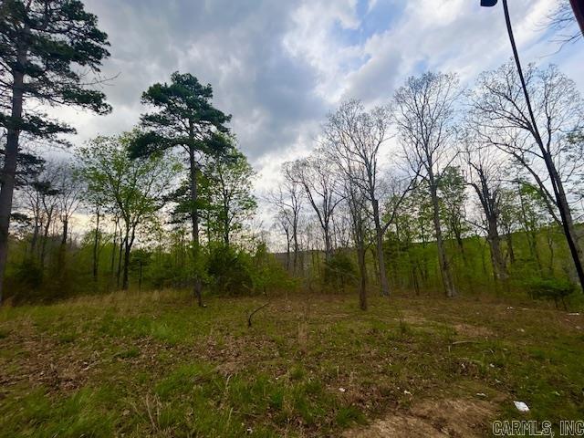 397 Fox Hollow Road Property Photo 33