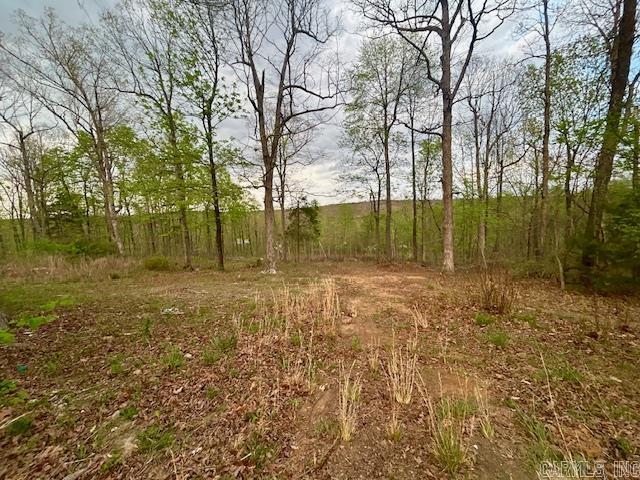 397 Fox Hollow Road Property Photo 35
