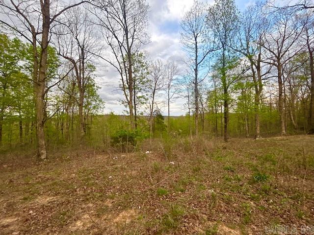 397 Fox Hollow Road Property Photo 36
