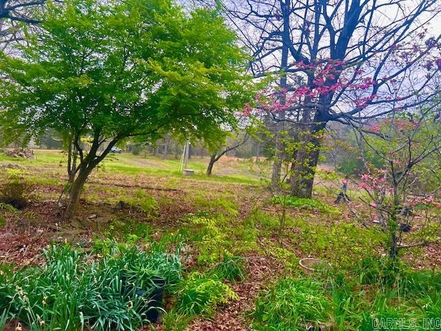 397 Fox Hollow Road Property Photo 38