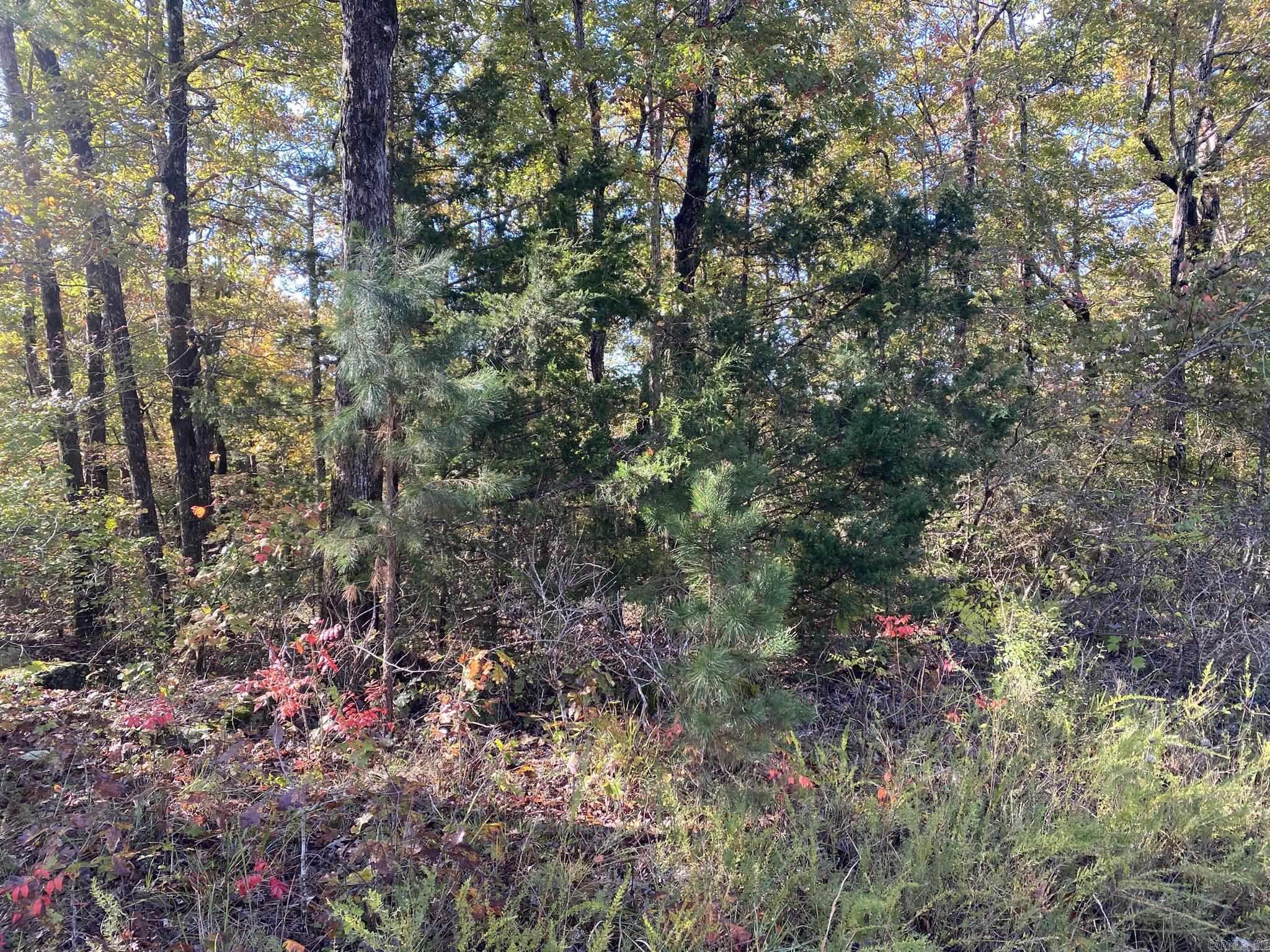 000 Jensen Road Property Photo 11