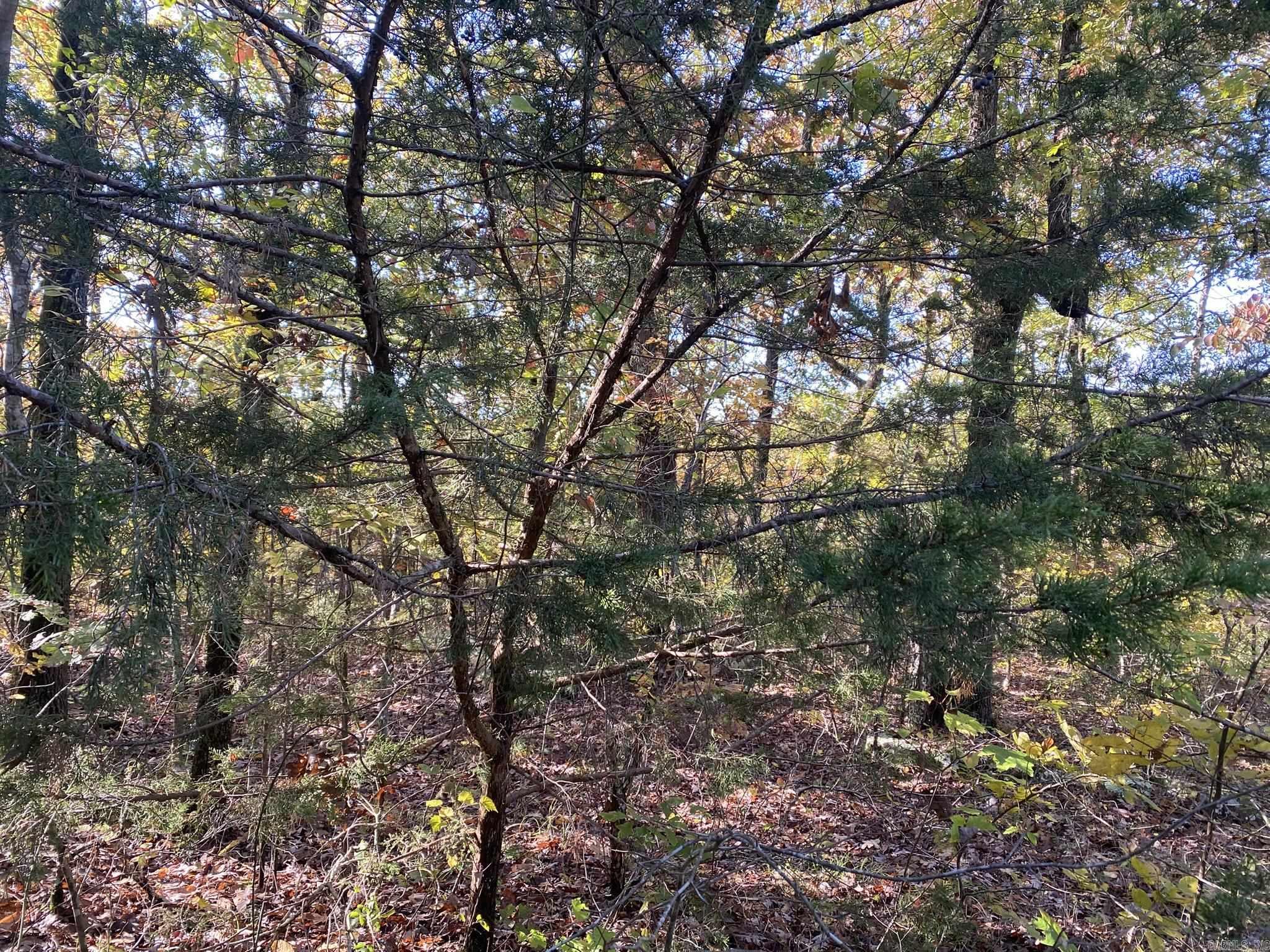 000 Jensen Road Property Photo 13