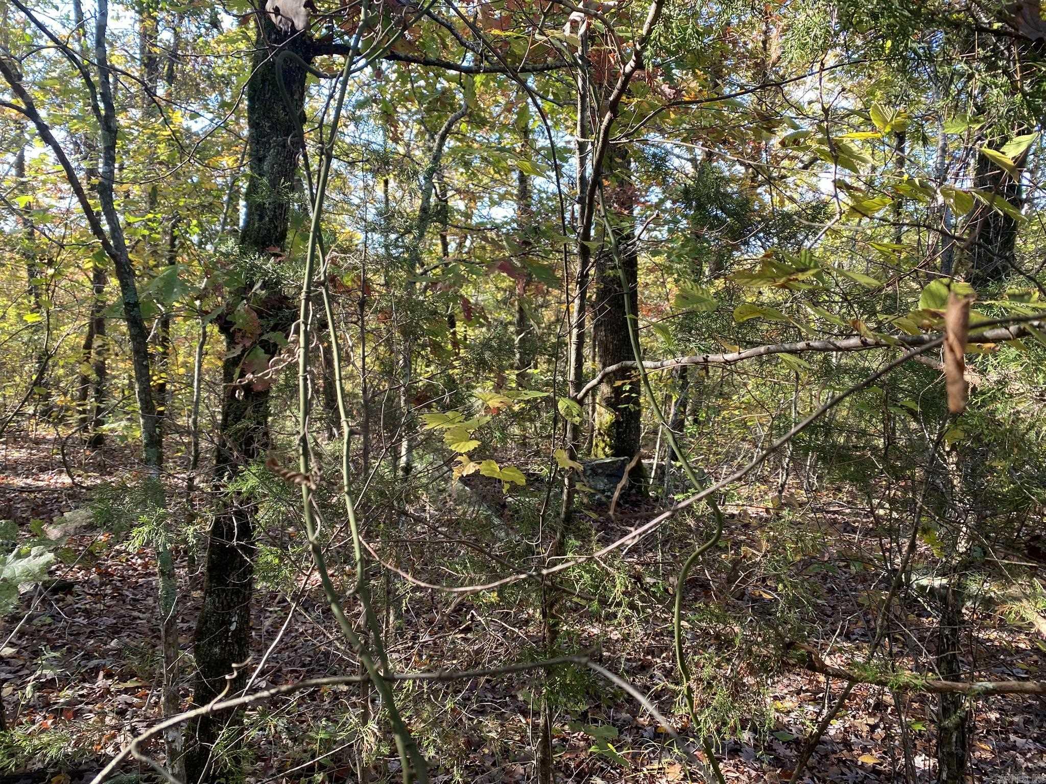 000 Jensen Road Property Photo 14