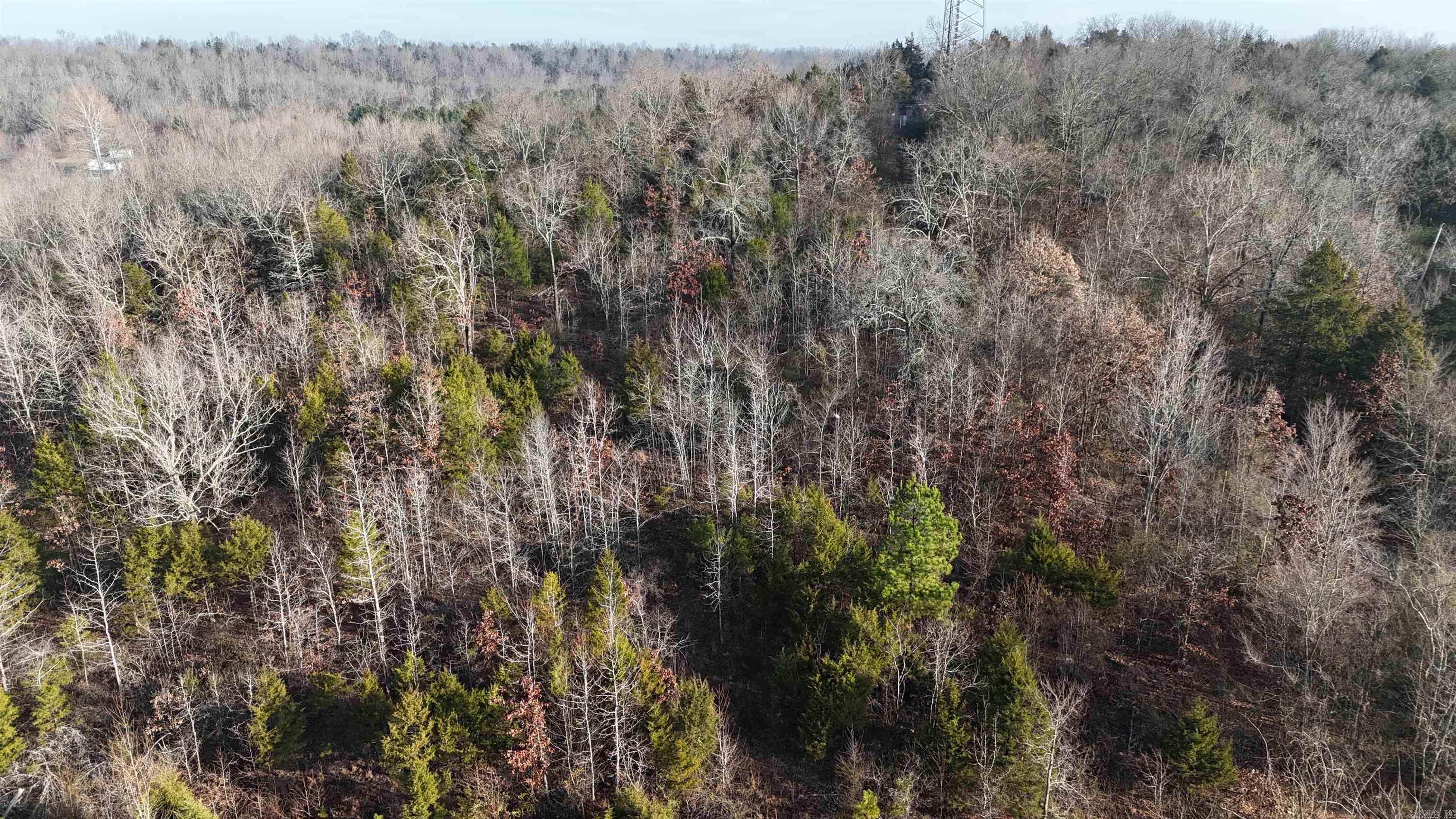 905 Fallen Tree Property Photo 1