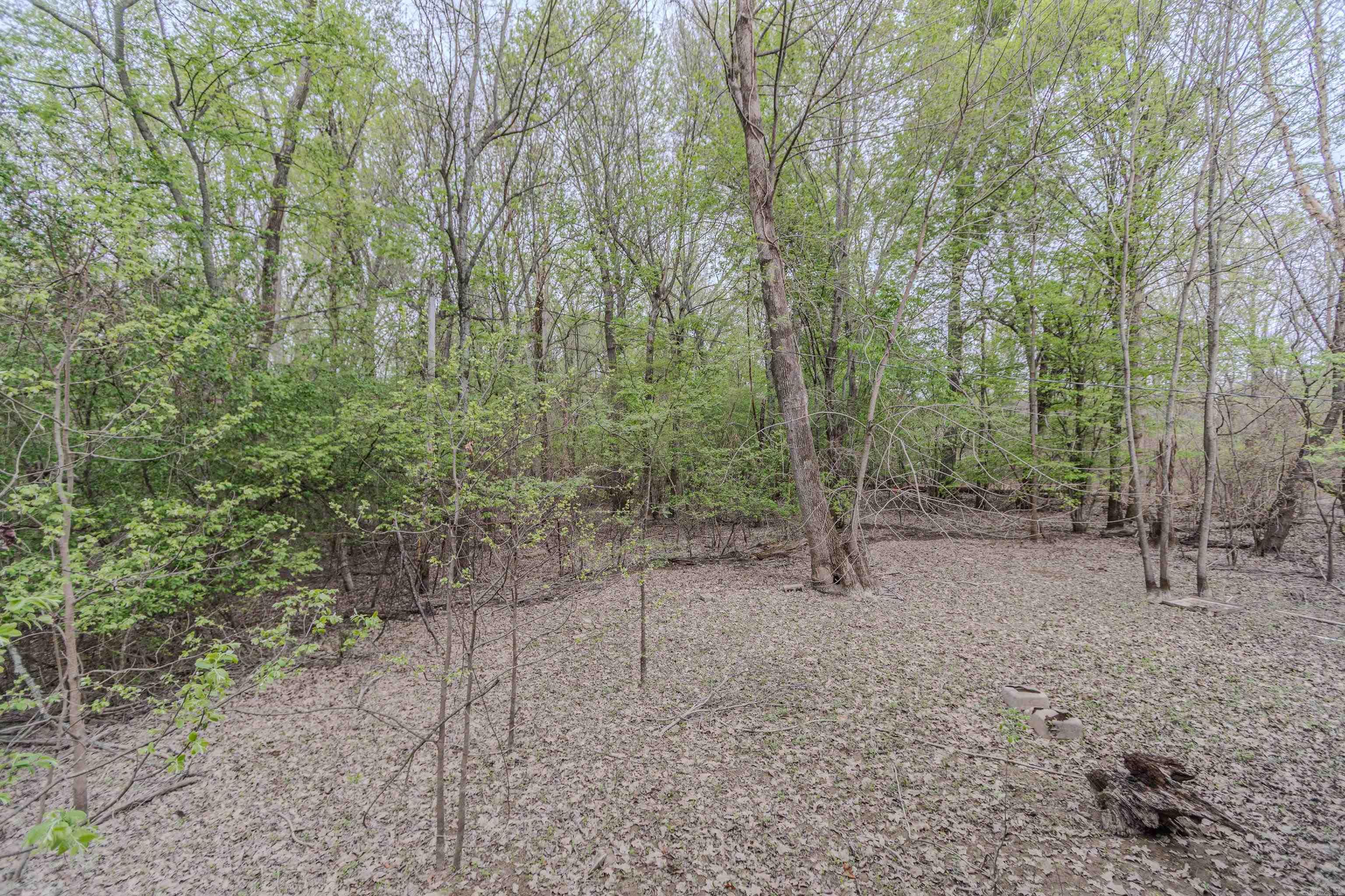 41 Hwy 280 Spur Property Photo 16