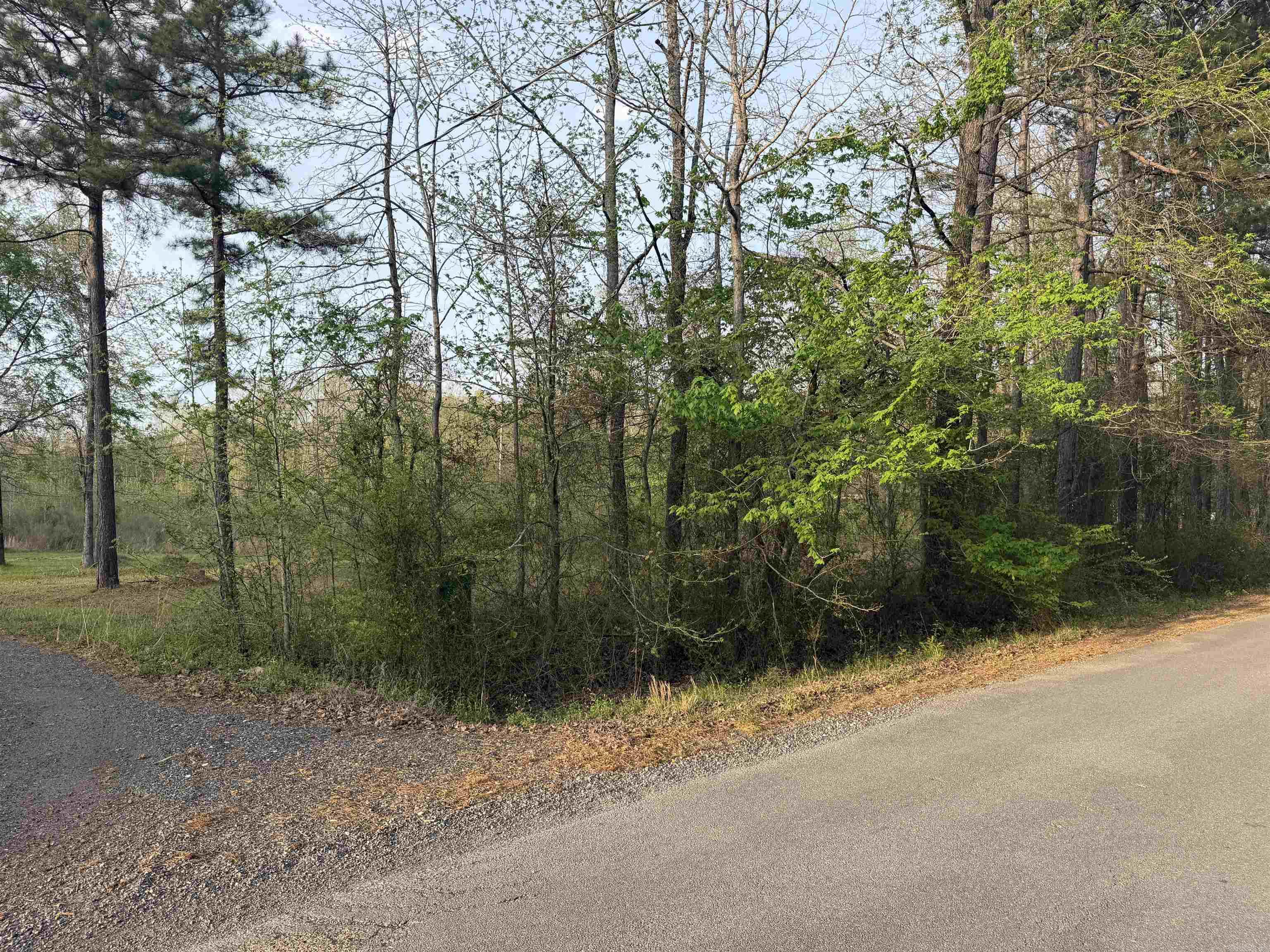 1507 Dixon Property Photo 1