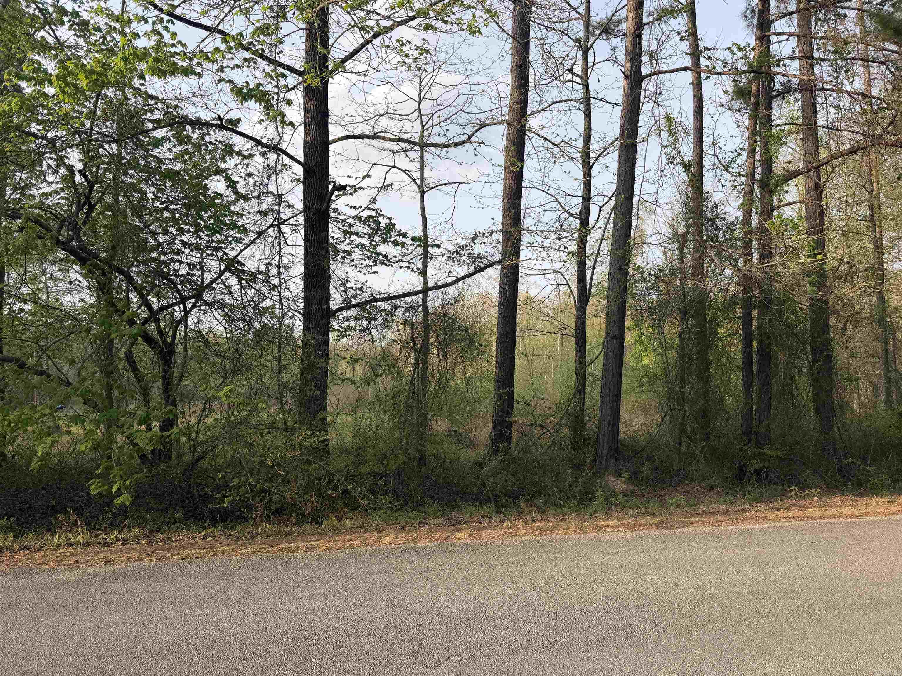 1507 Dixon Property Photo 2