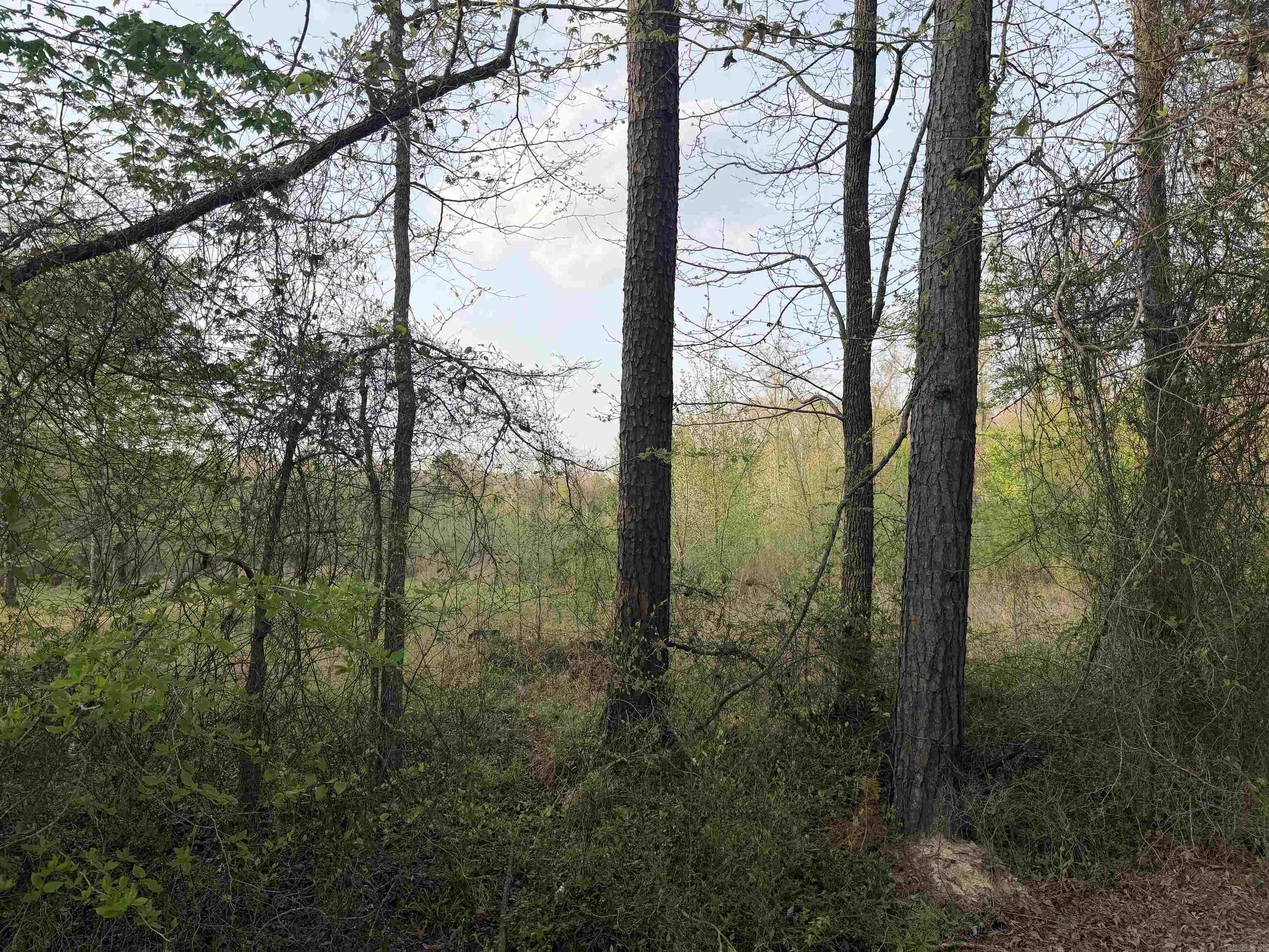 1507 Dixon Property Photo 3