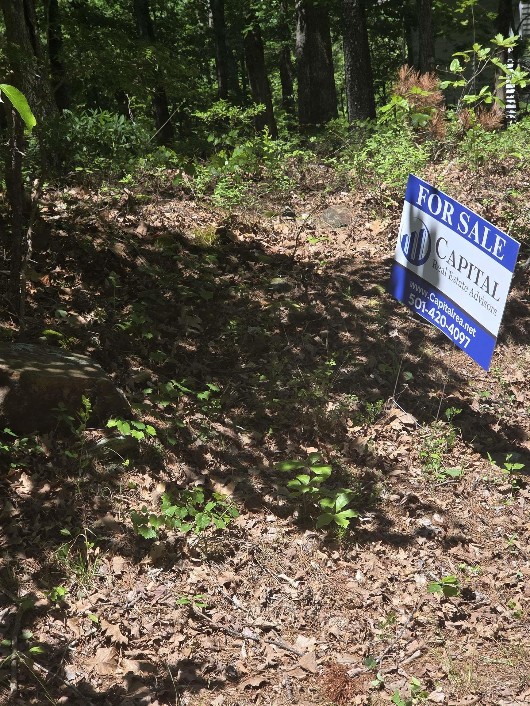 59 Ciento Property Photo 4