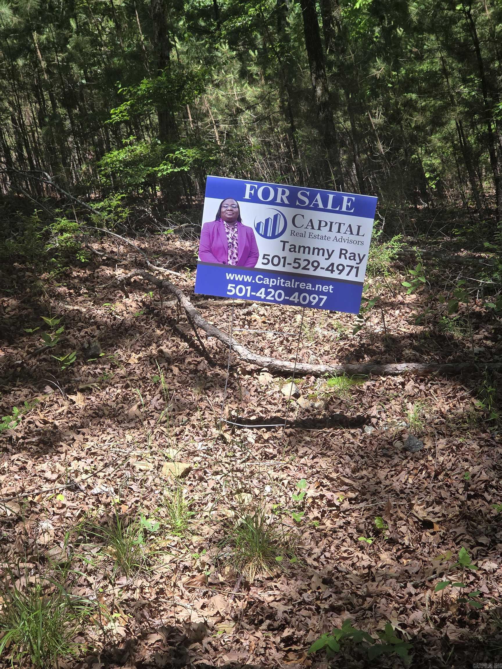 59 Ciento Property Photo 5