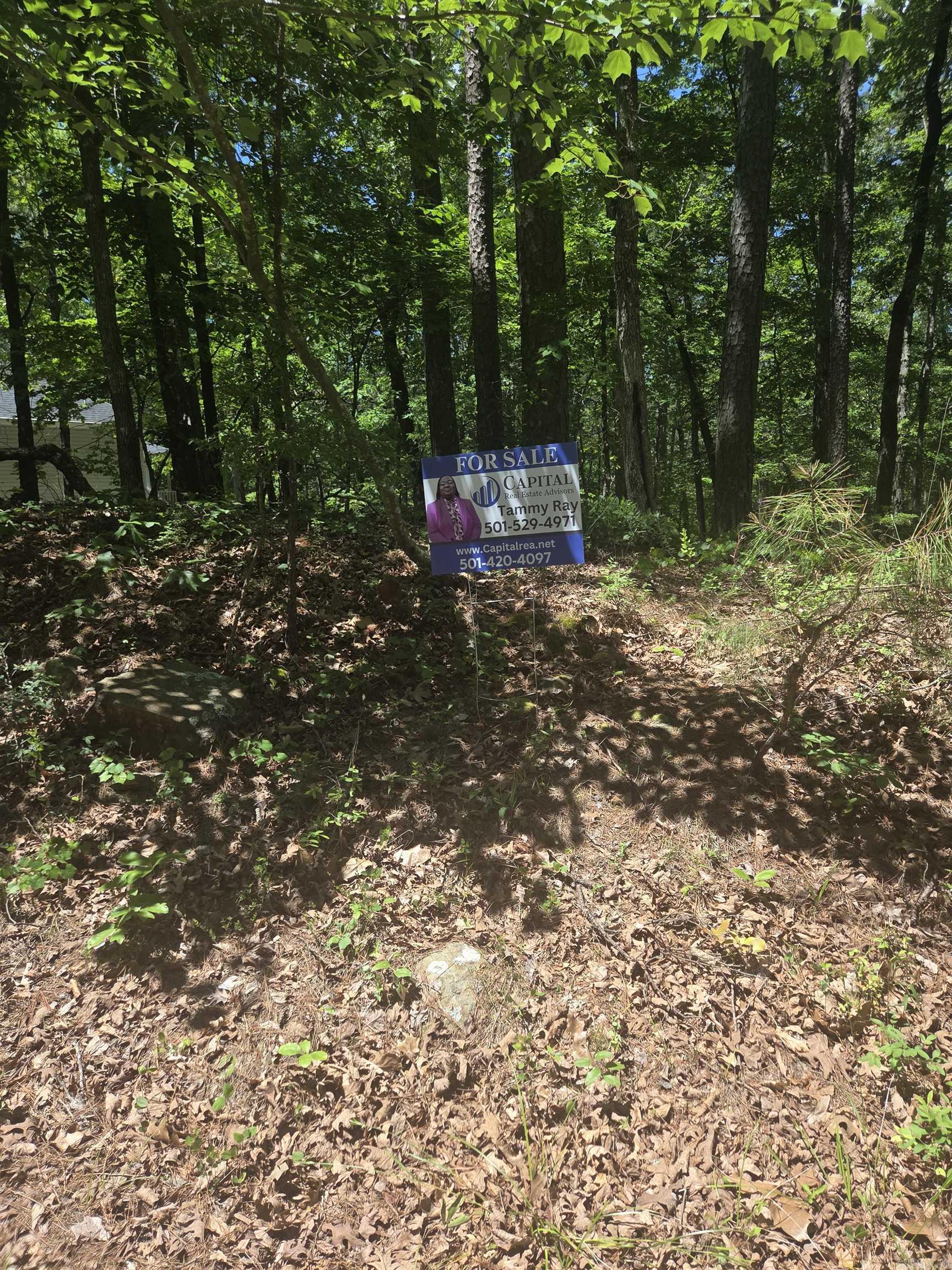 59 Ciento Property Photo 6