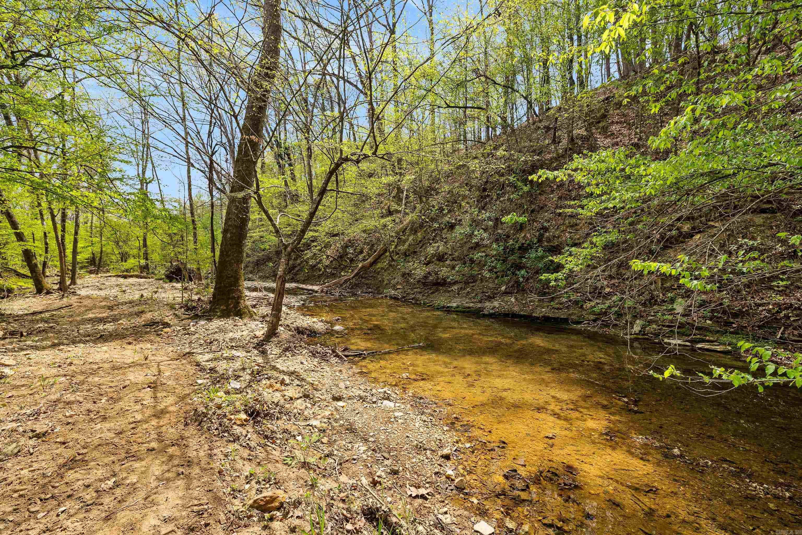 5541 Hwy 298 Property Photo 46