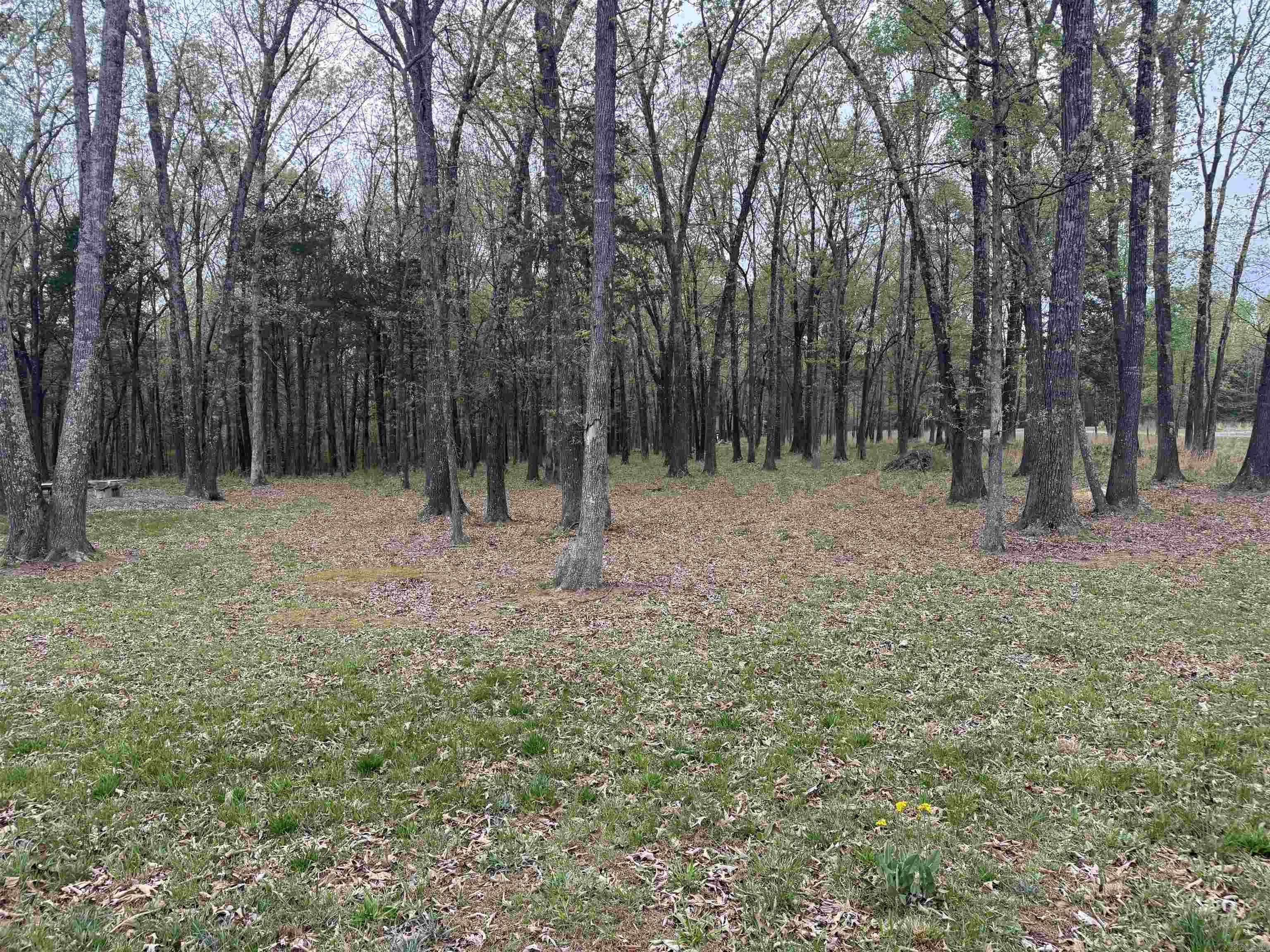 Lot 13 Shiloh Landing Pointe Property Photo 3