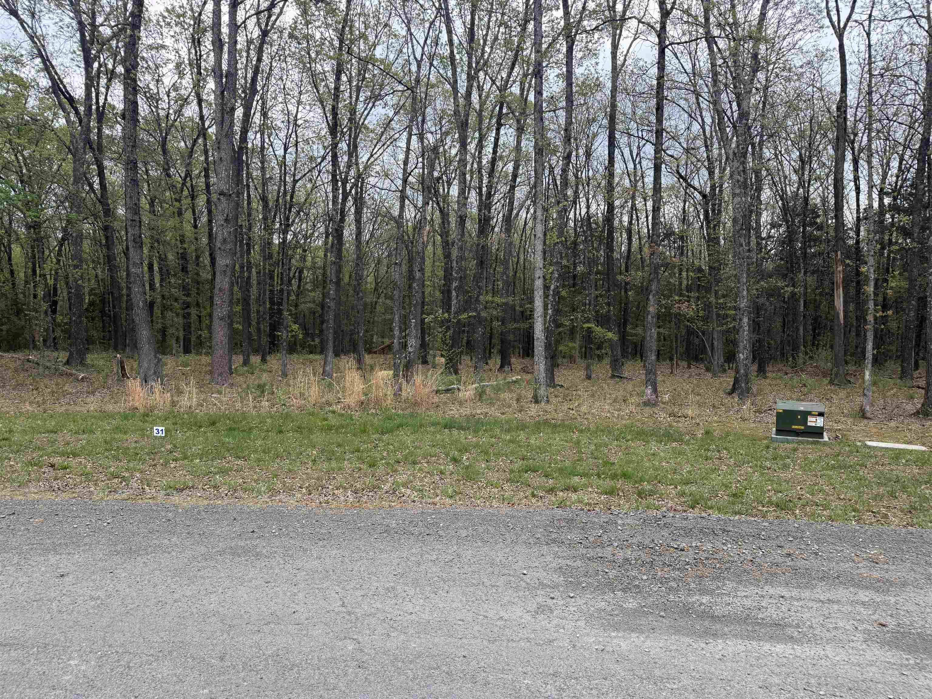 Lot 31 Shiloh Landing Pointe Property Photo 3