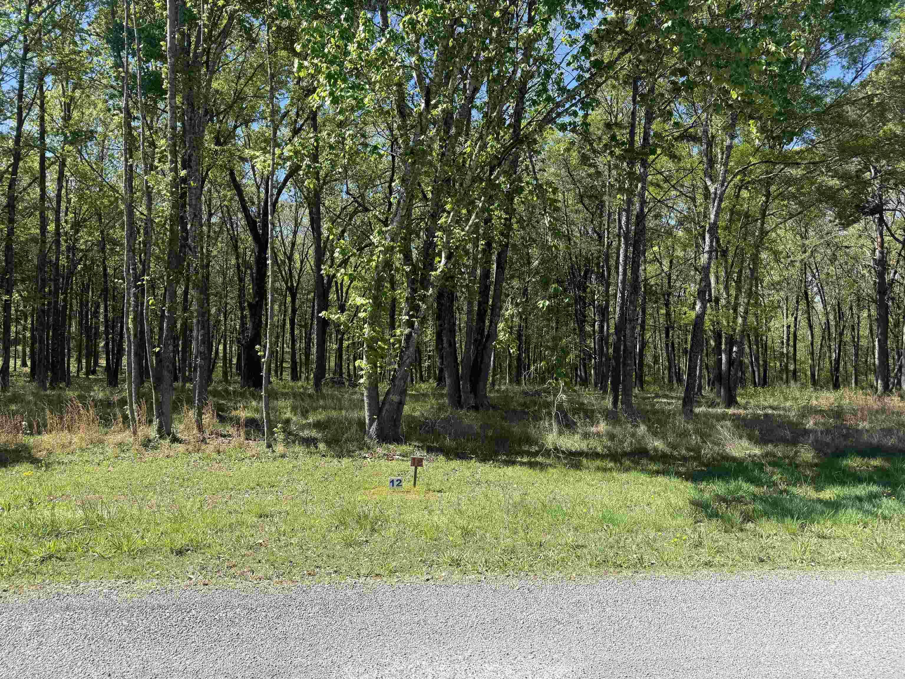 Lot 12 Shiloh Landing Pointe Property Photo 3