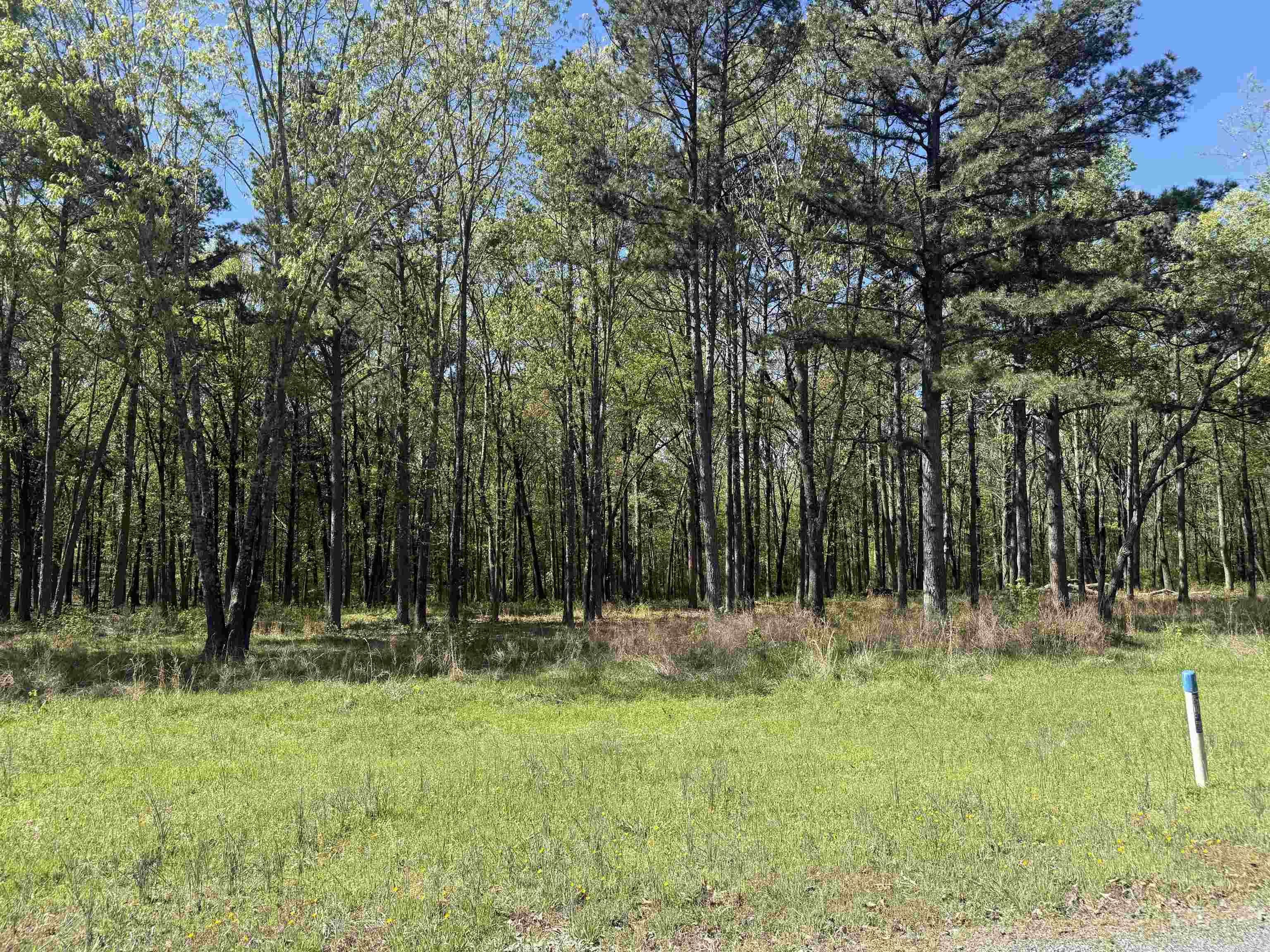 Lot 11 Shiloh Landing Pointe Property Photo 3