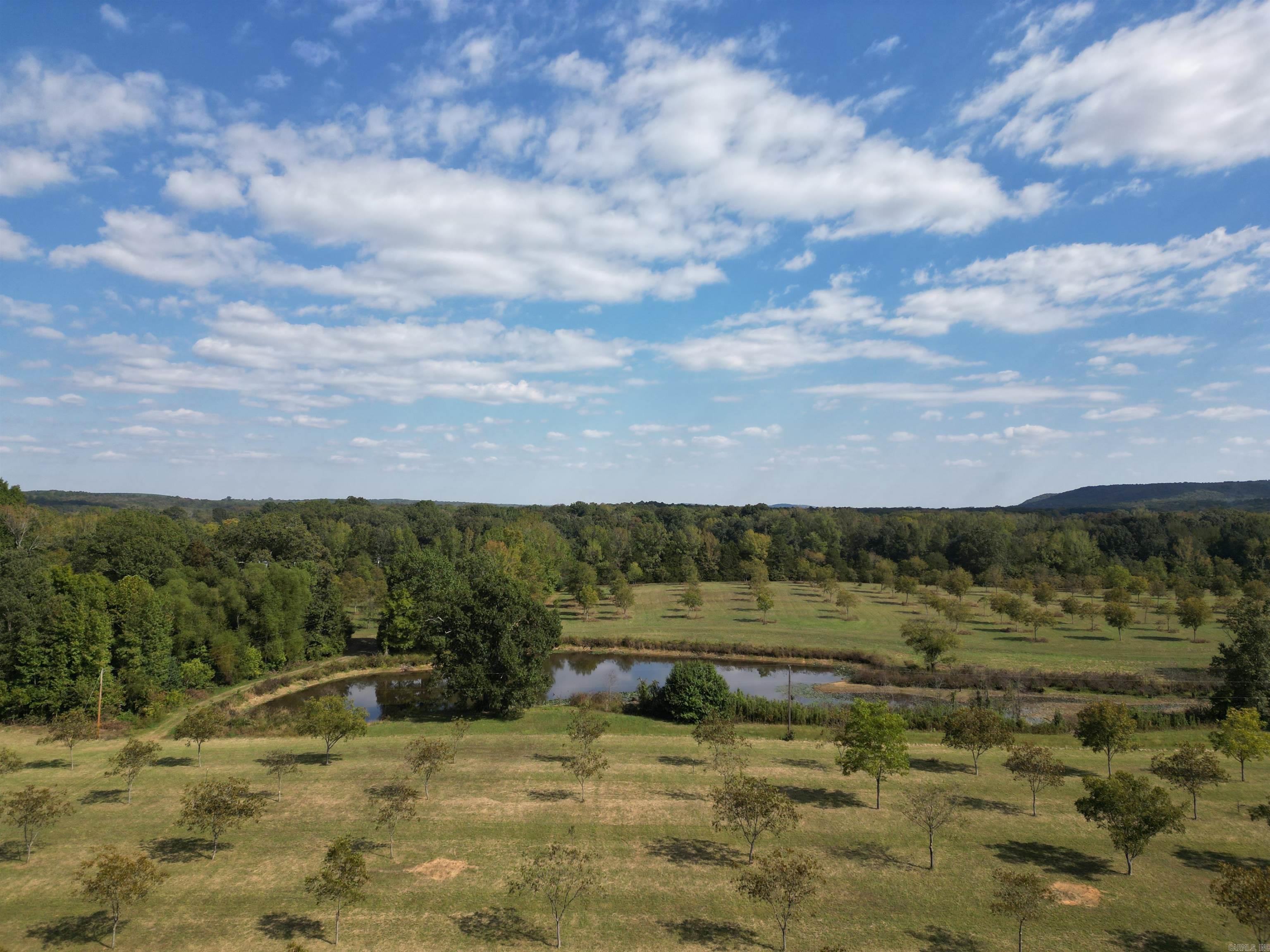 4231 Hwy 337 E Pecan Point Drive Property Photo 5