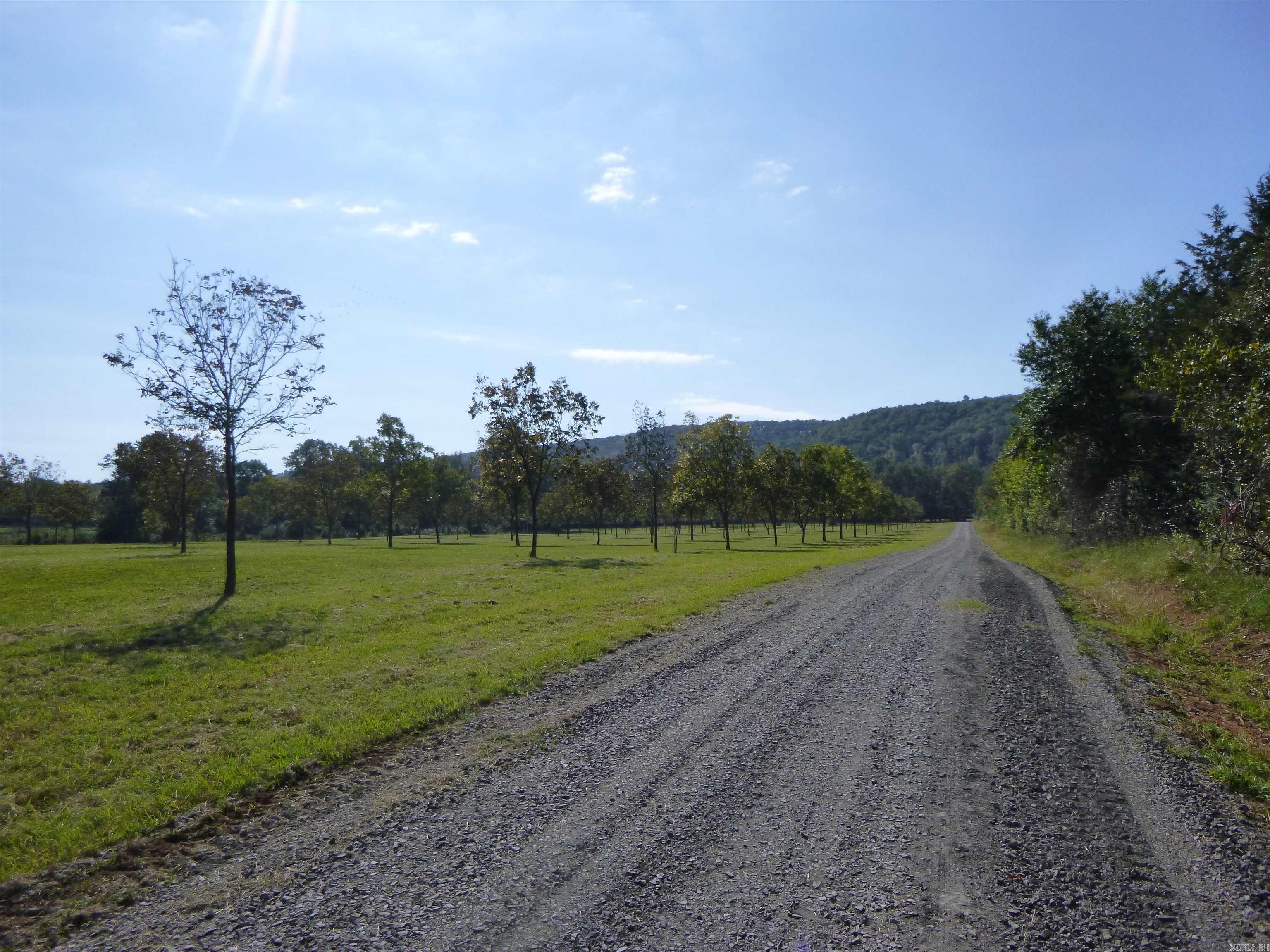 4231 Hwy 337 E Pecan Point Drive Property Photo 8