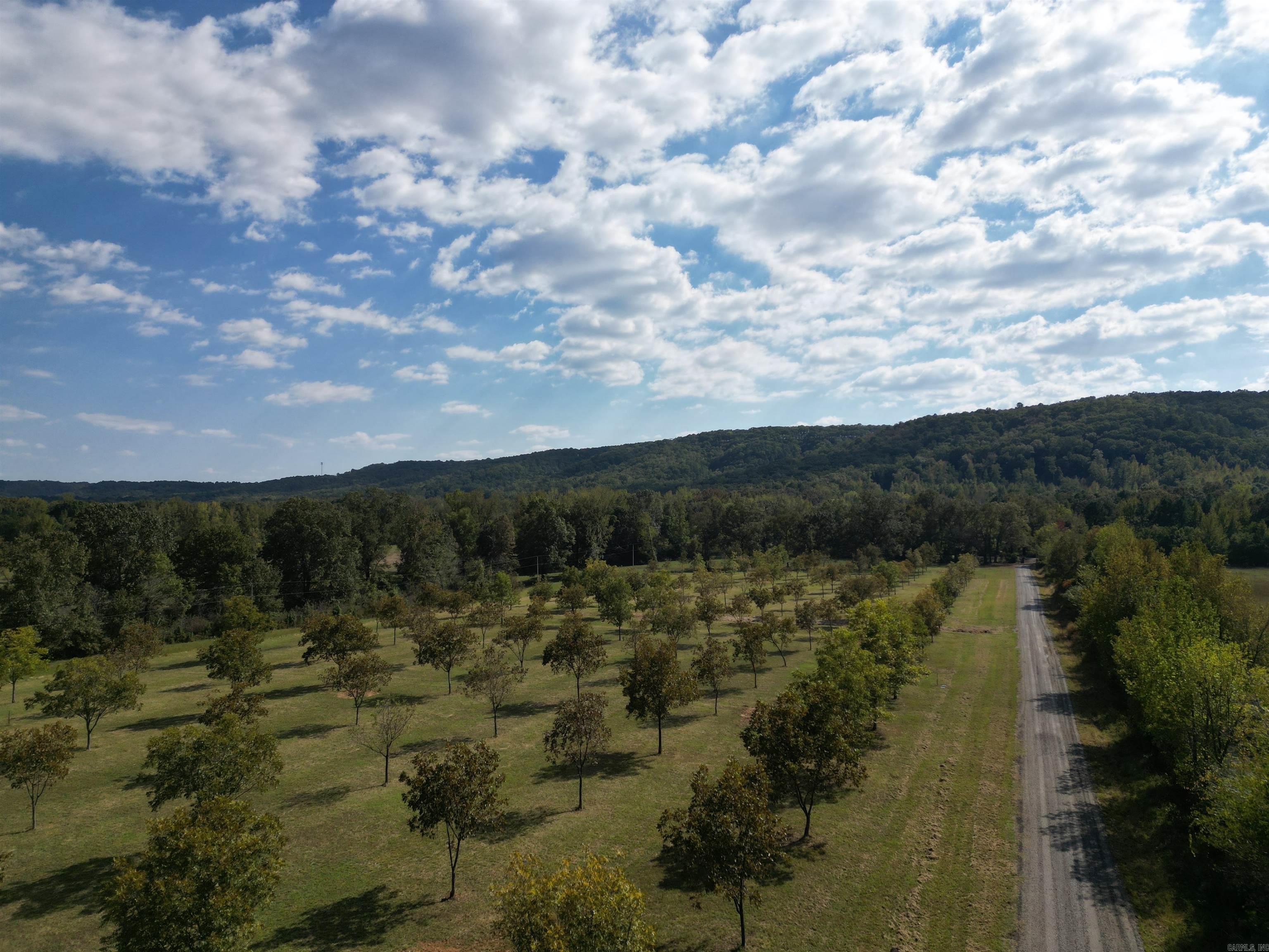 4231 Hwy 337 E Pecan Point Drive Property Photo 18