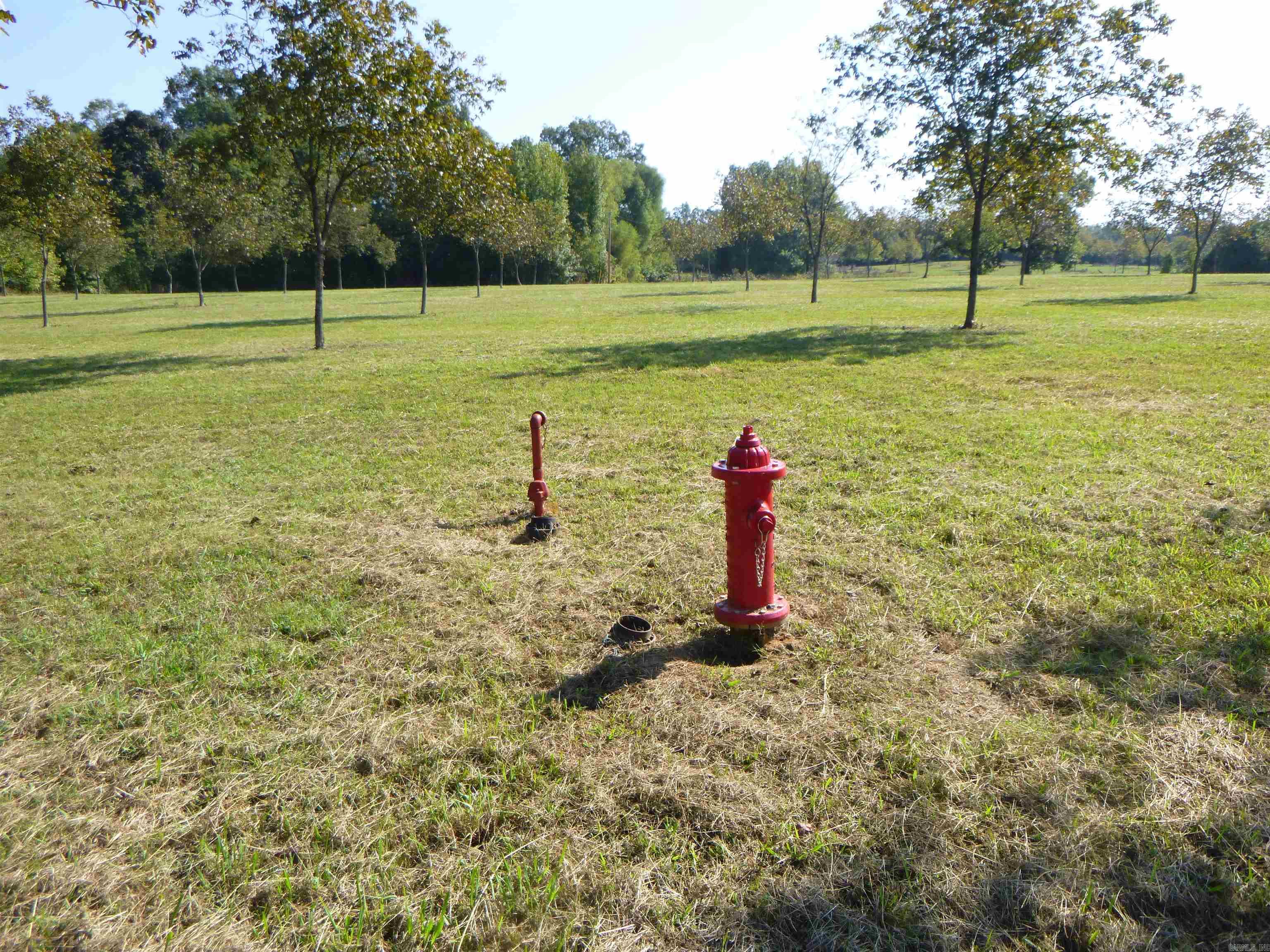 4231 Hwy 337 E Pecan Point Drive Property Photo 21