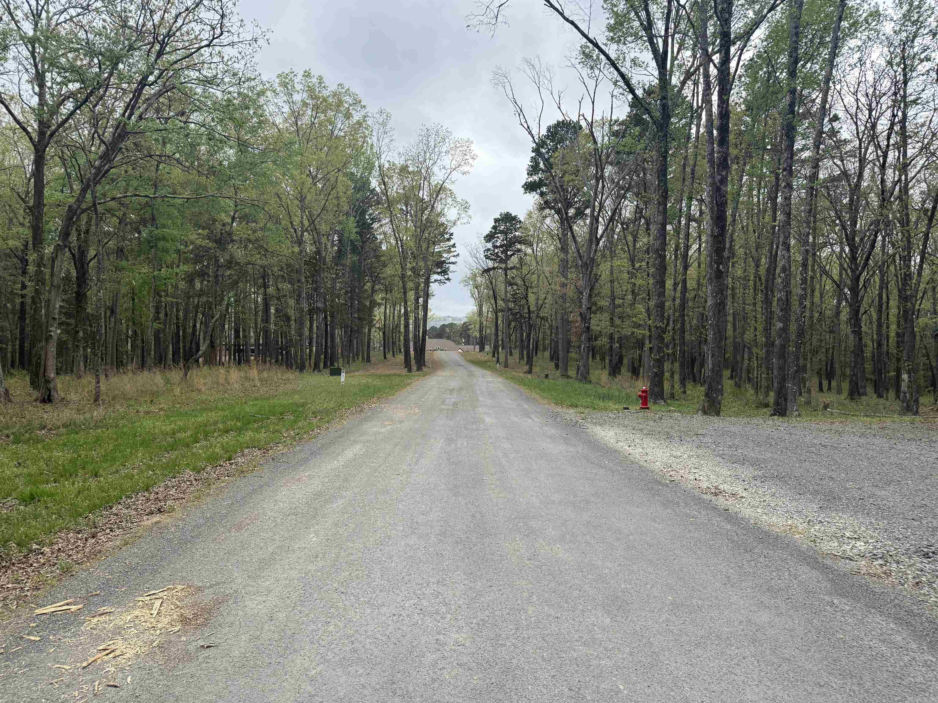 Lot 9 Shiloh Landing Pointe Property Photo 6