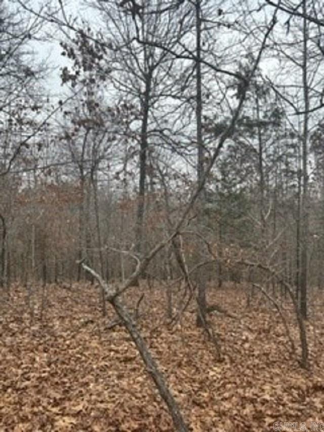 Lot 15 Buckhead Lane Property Photo 6