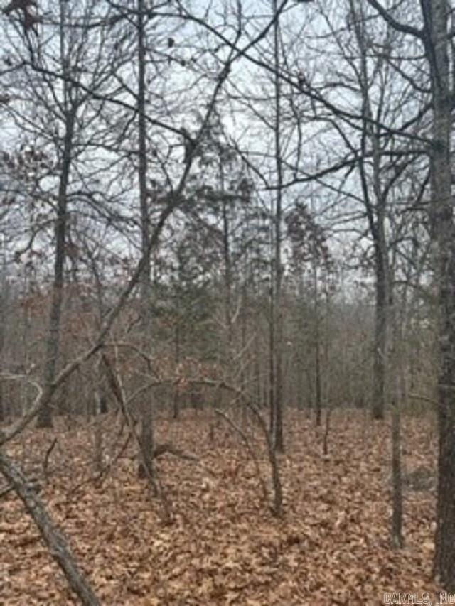 Lot 15 Buckhead Lane Property Photo 7
