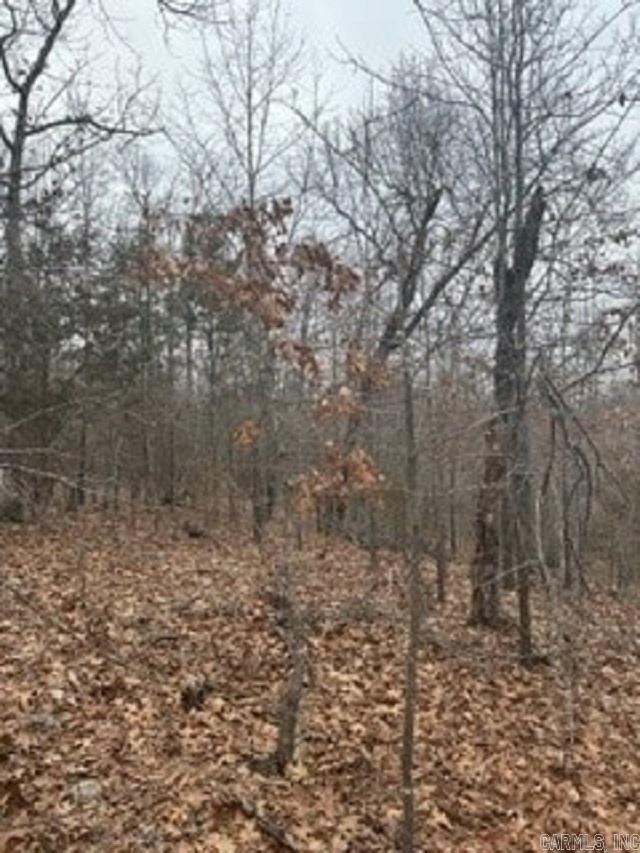 Lot 15 Buckhead Lane Property Photo 8