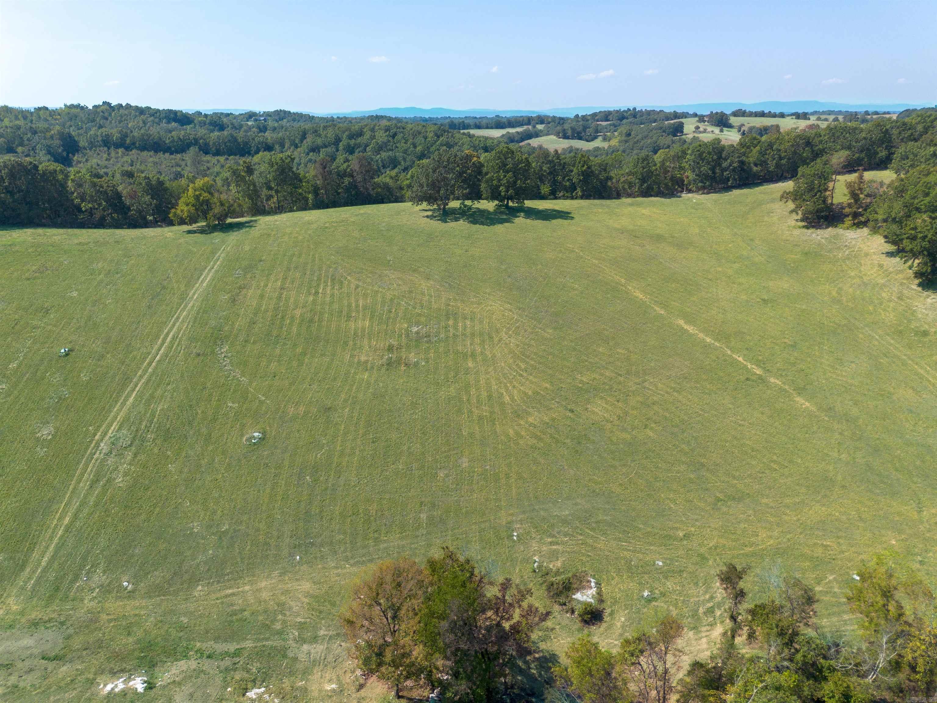 79.50 Ac. (+/-) Crochet Road Property Photo 4