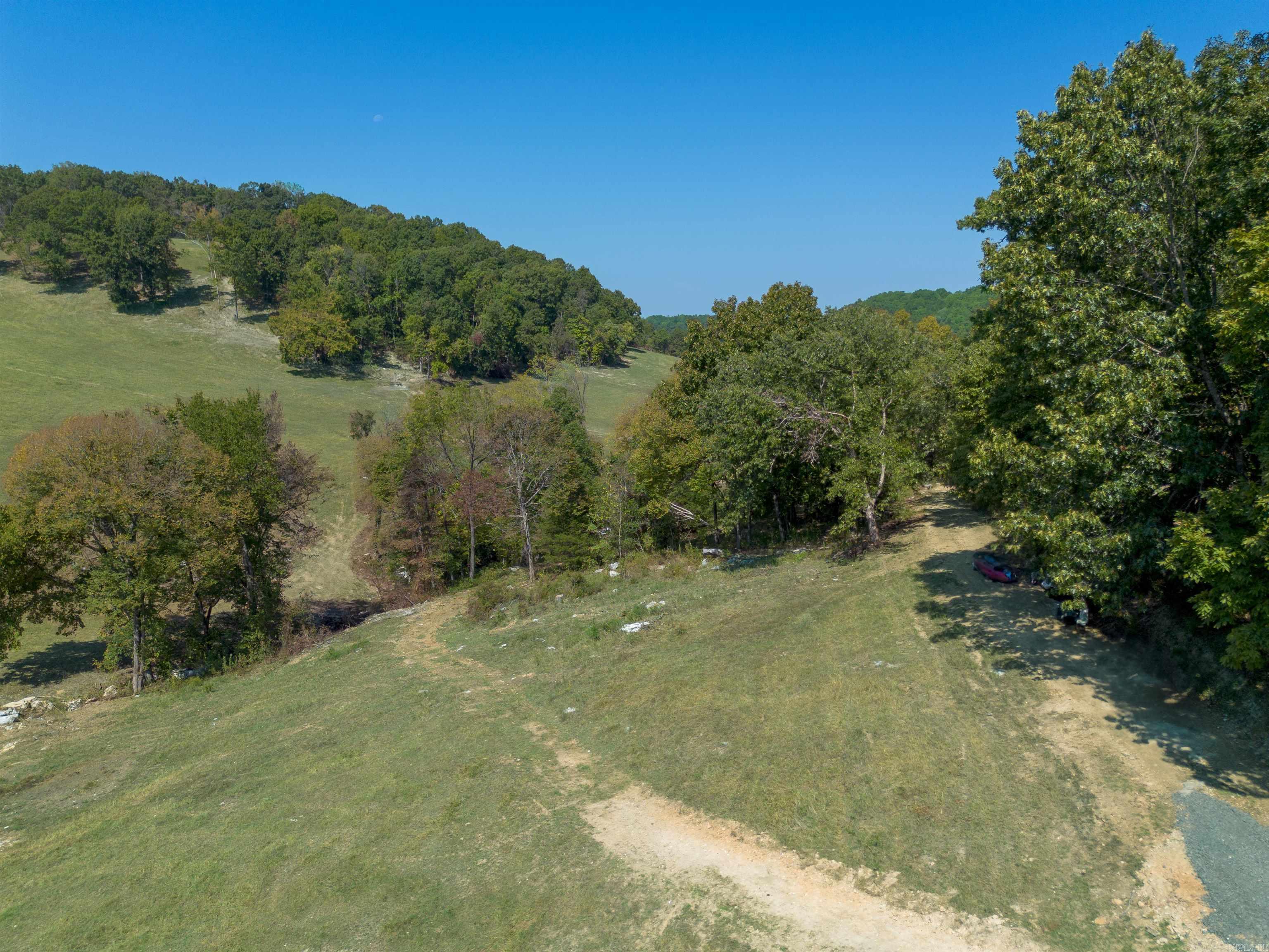 79.50 Ac. (+/-) Crochet Road Property Photo 5