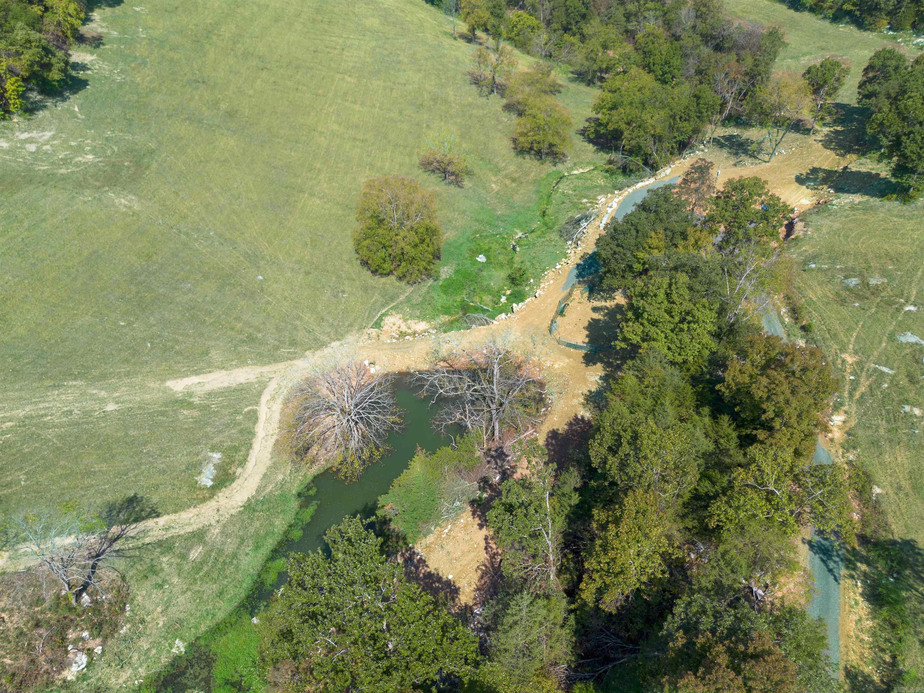 79.50 Ac. (+/-) Crochet Road Property Photo 7