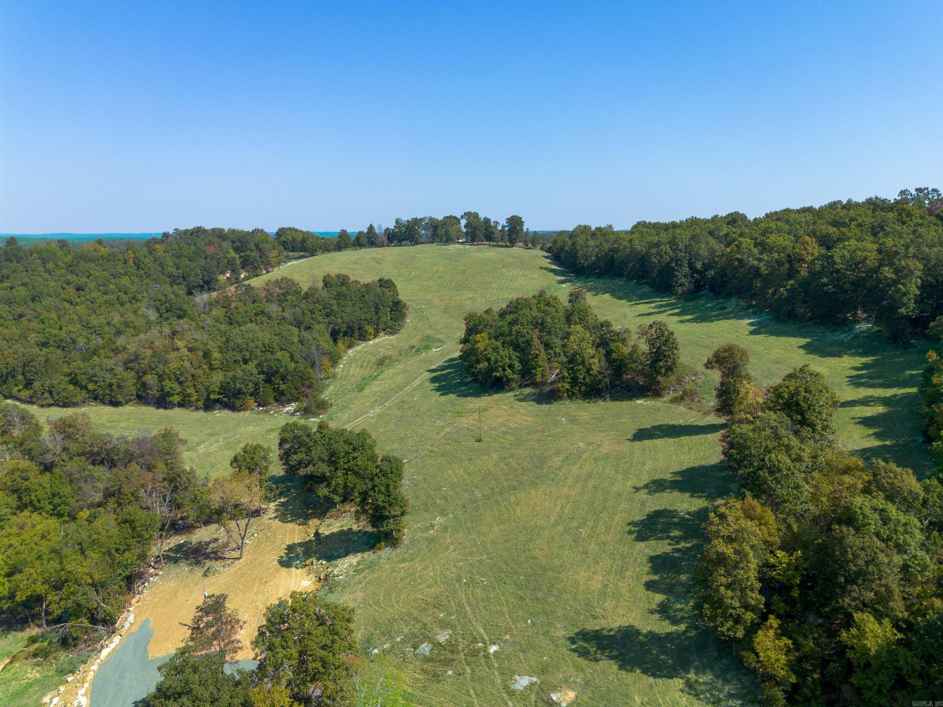 79.50 Ac. (+/-) Crochet Road Property Photo 8
