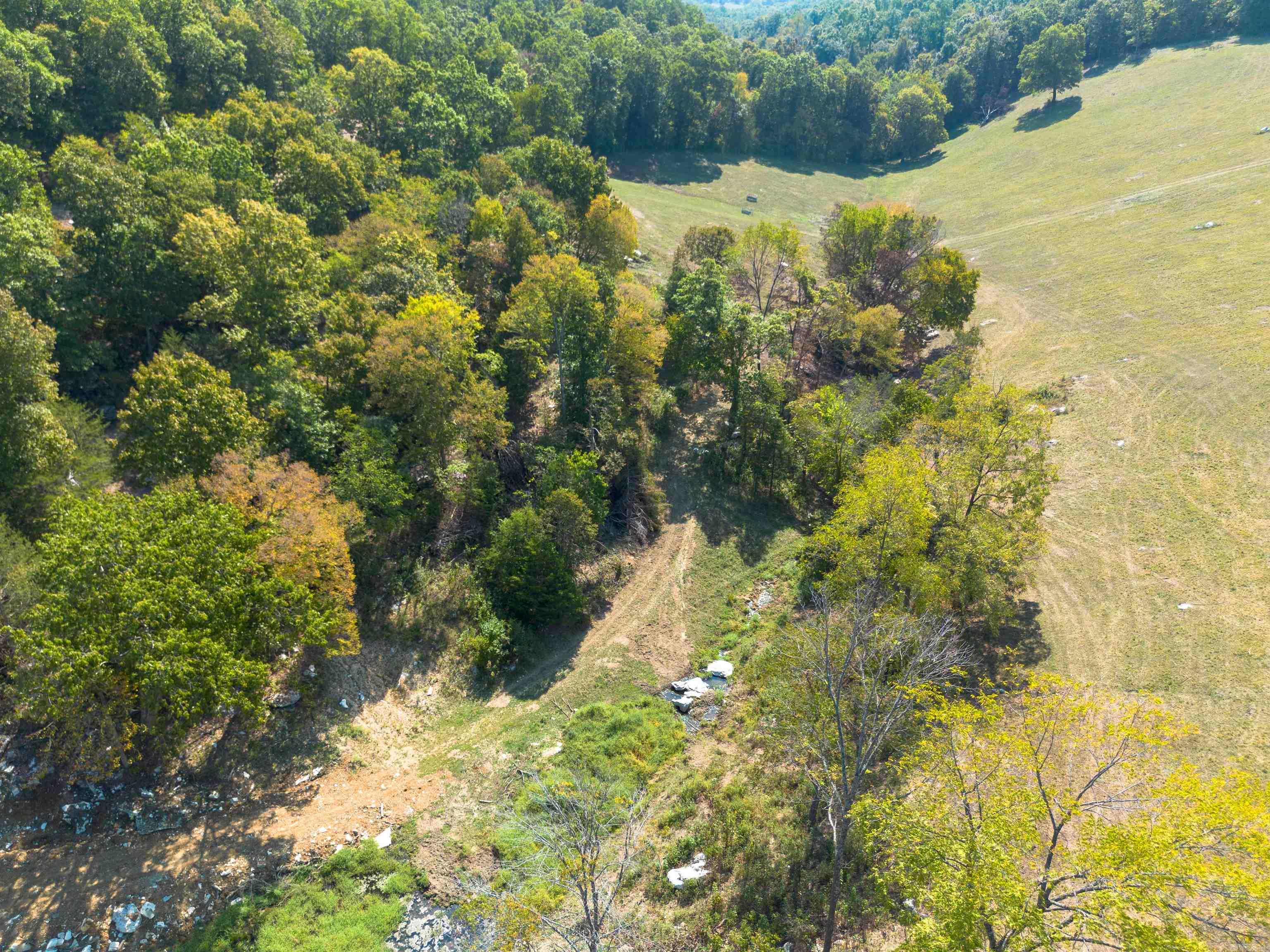 79.50 Ac. (+/-) Crochet Road Property Photo 10