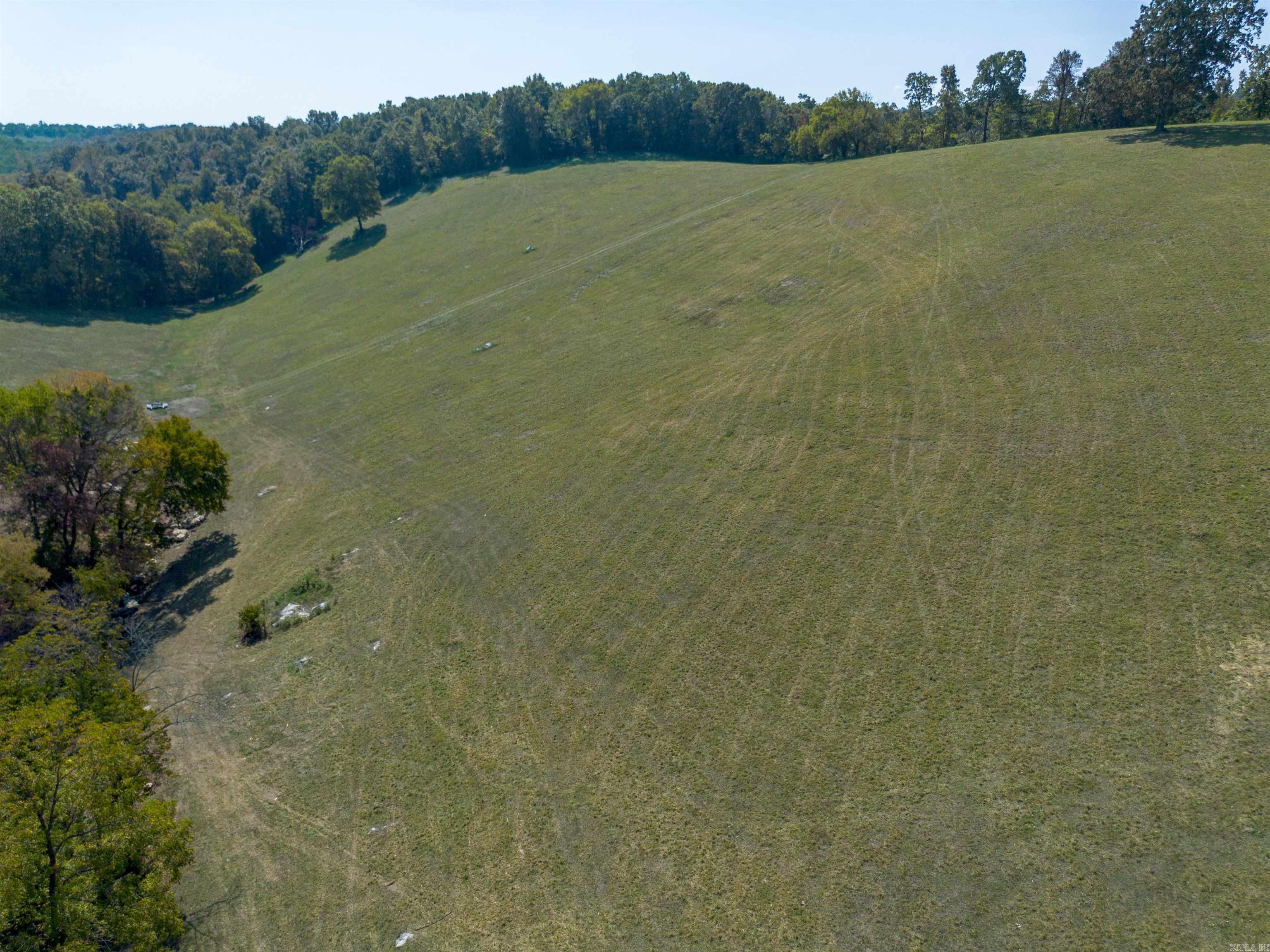 79.50 Ac. (+/-) Crochet Road Property Photo 12