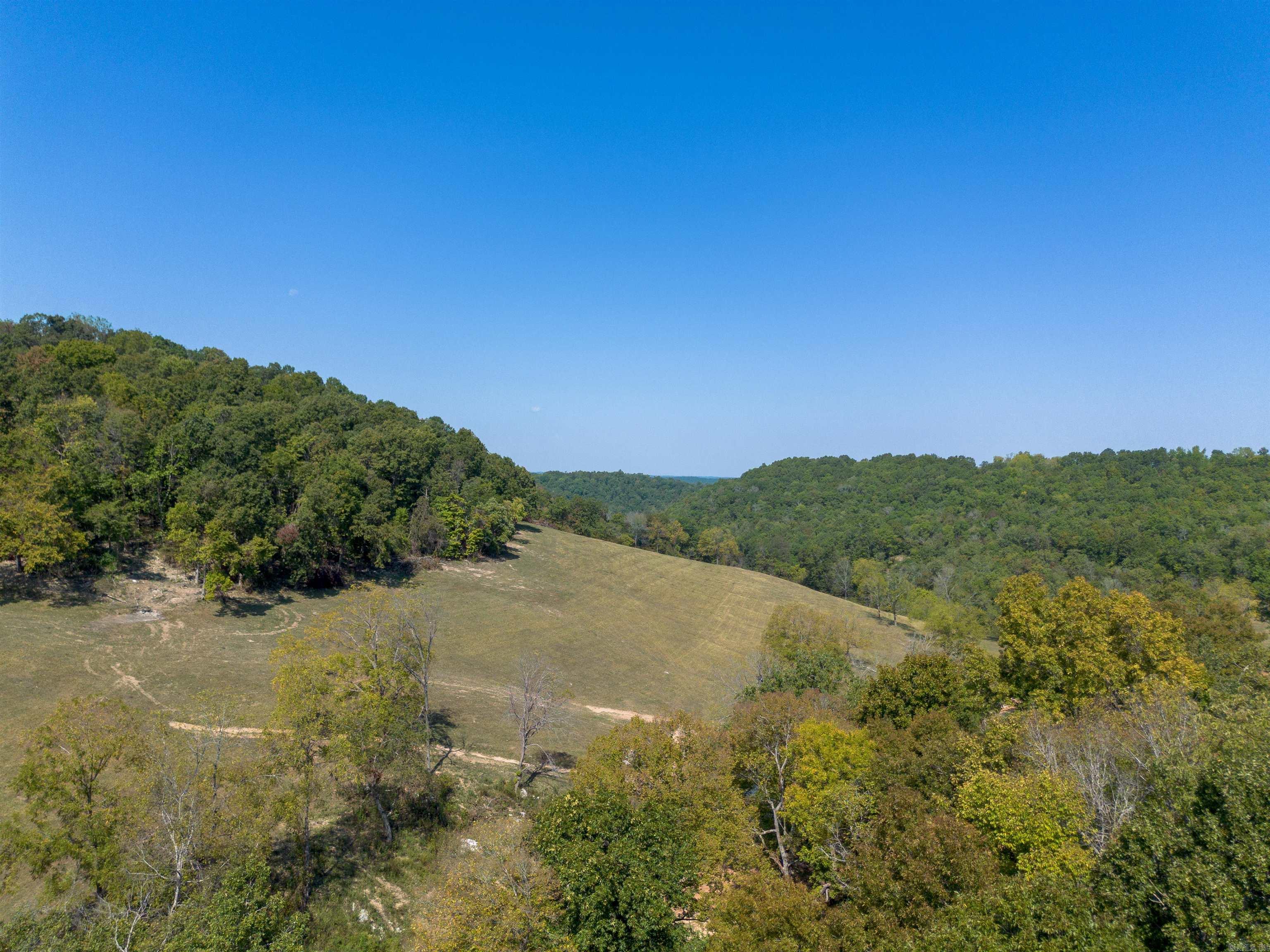 79.50 Ac. (+/-) Crochet Road Property Photo 13
